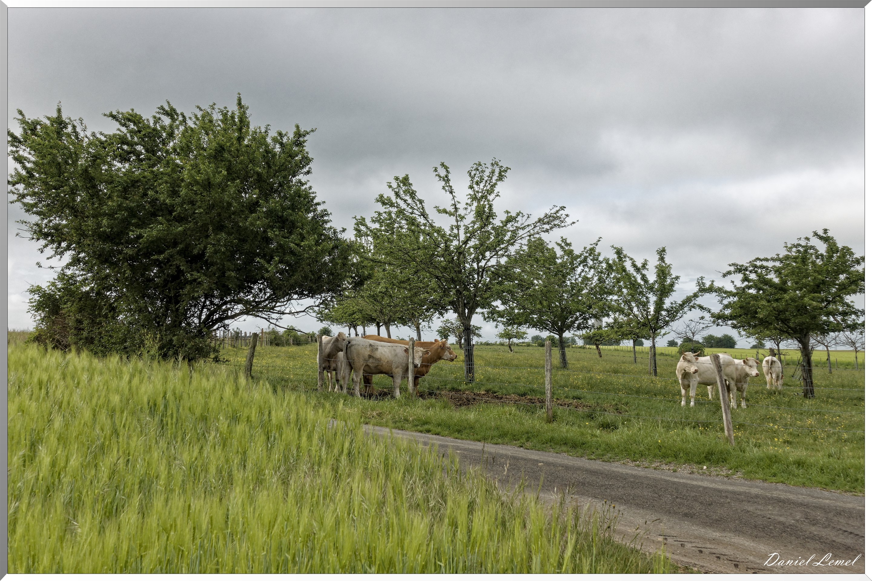 Saint-Pierre-de-Bailleul