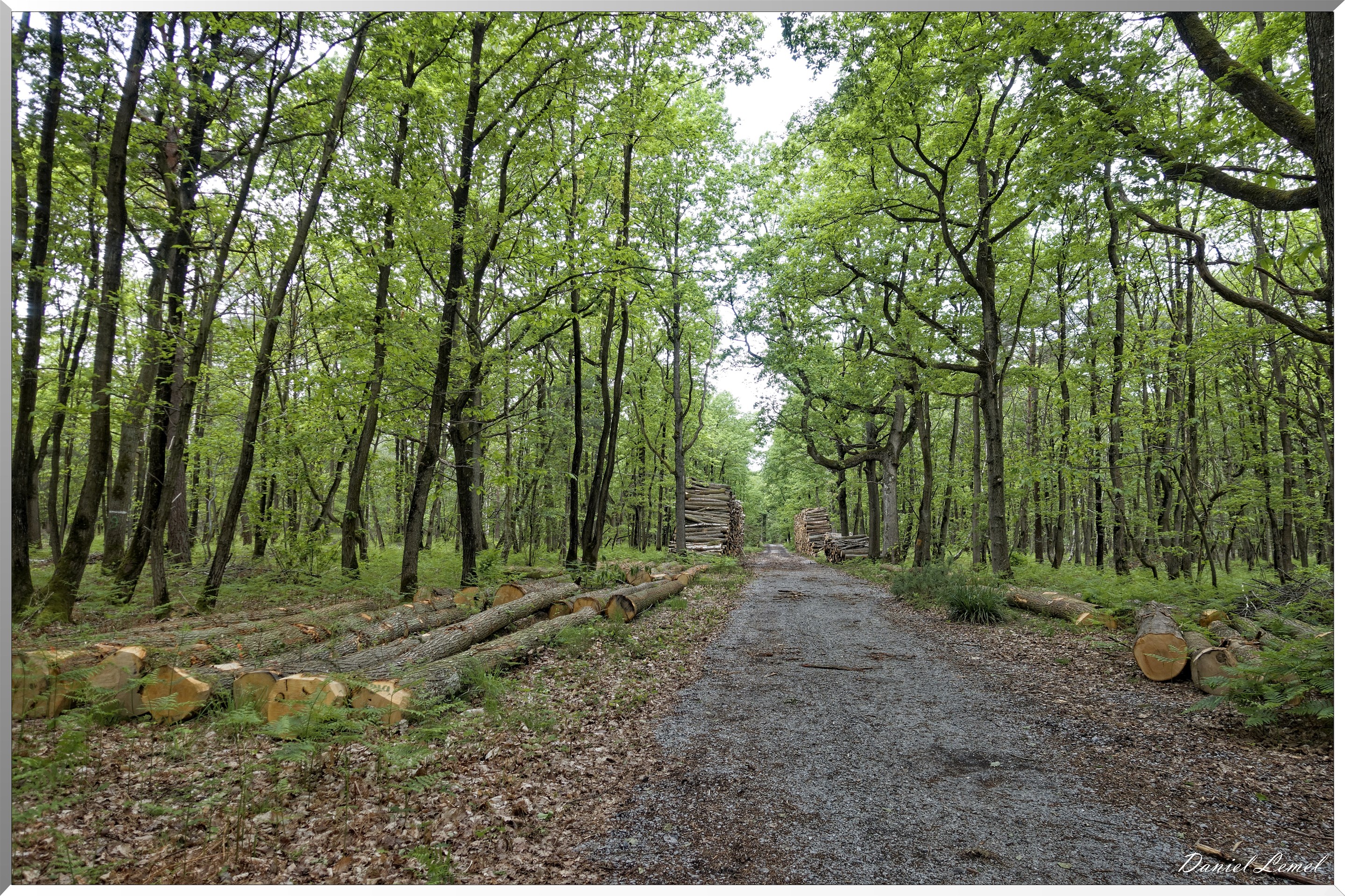 Saint-Pierre-de-Bailleul