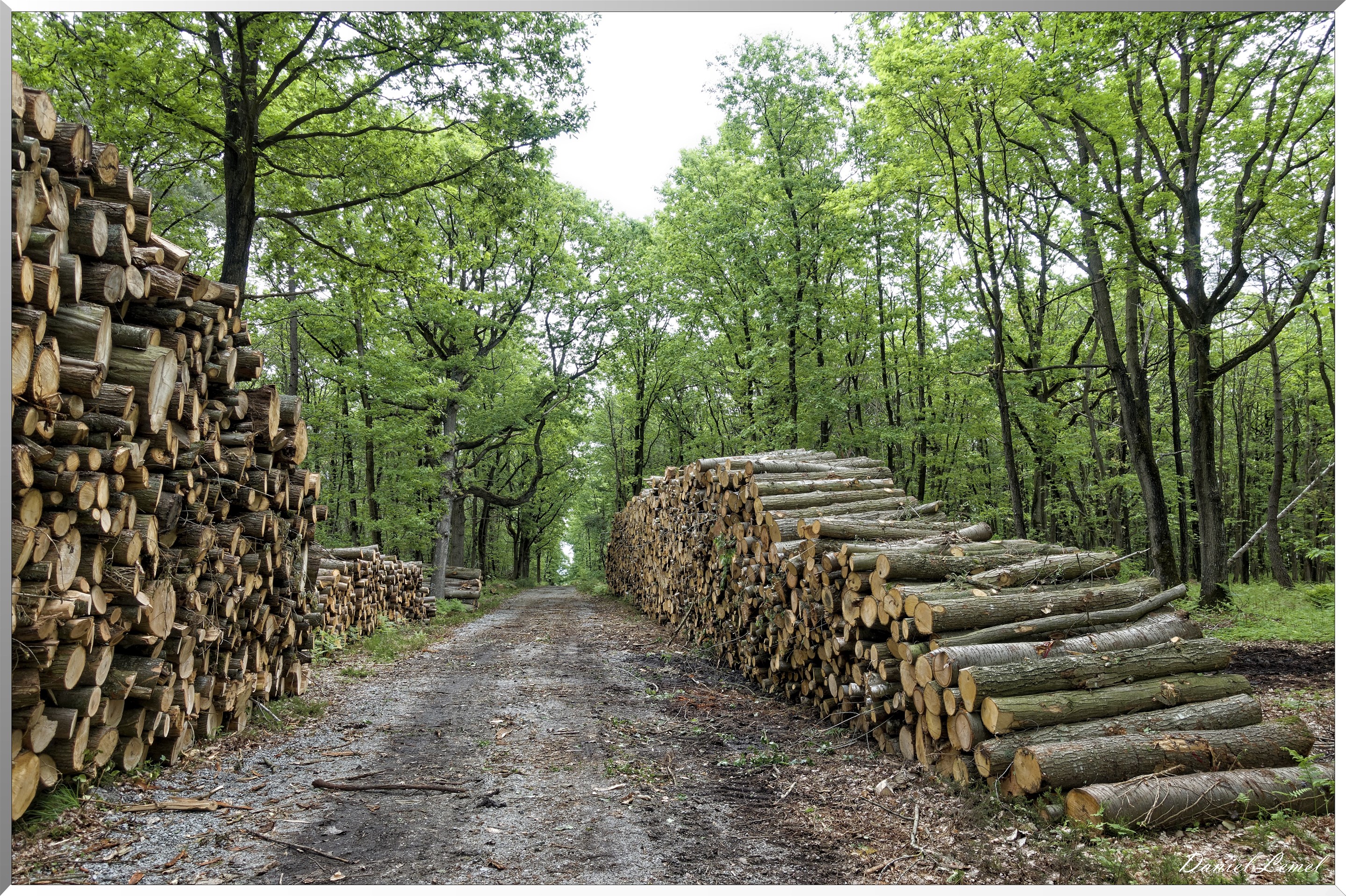 Saint-Pierre-de-Bailleul