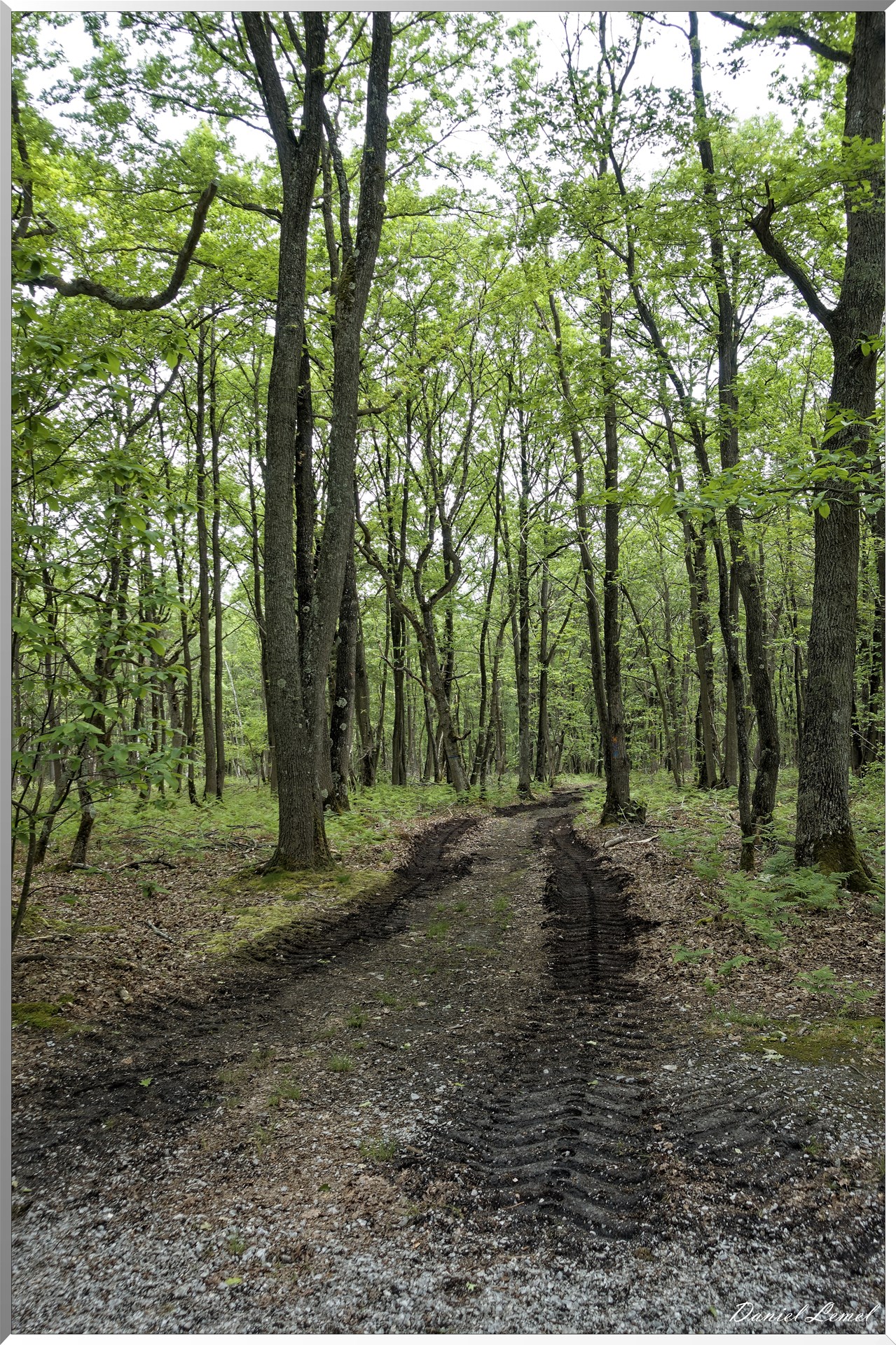 Saint-Pierre-de-Bailleul