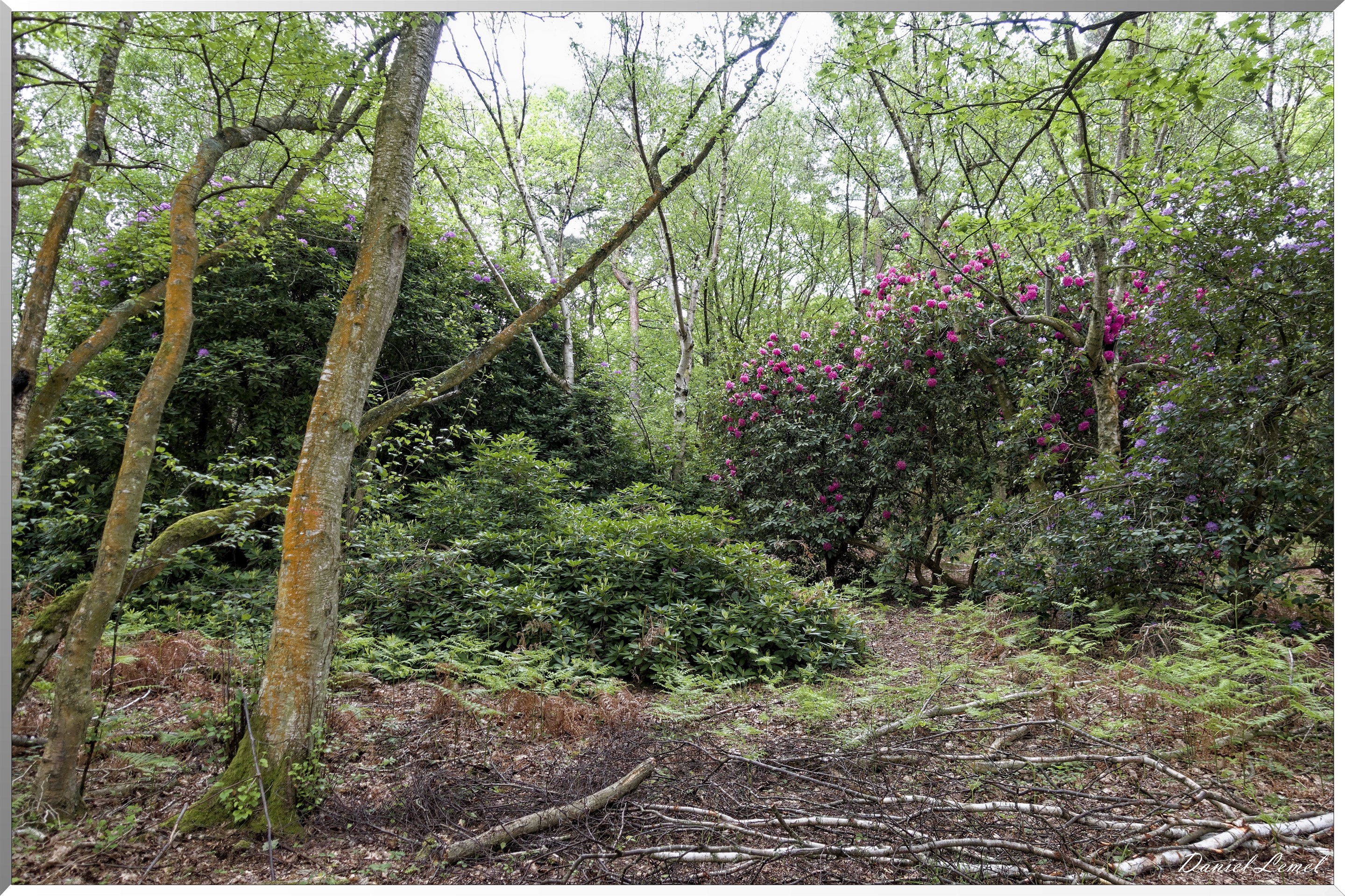 Saint-Pierre-de-Bailleul