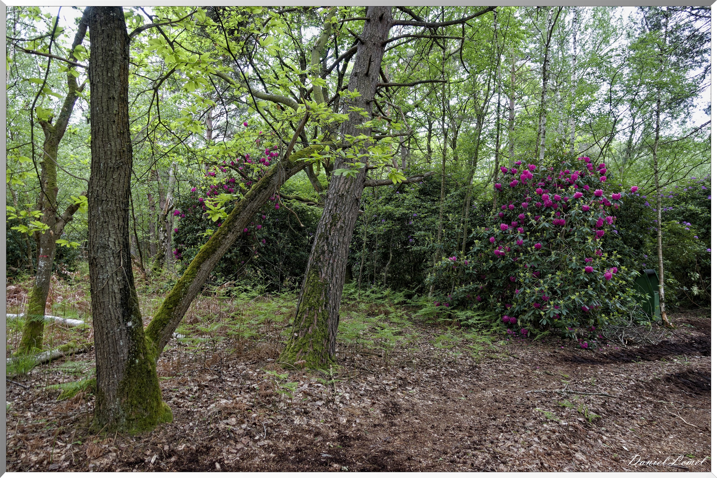 Saint-Pierre-de-Bailleul