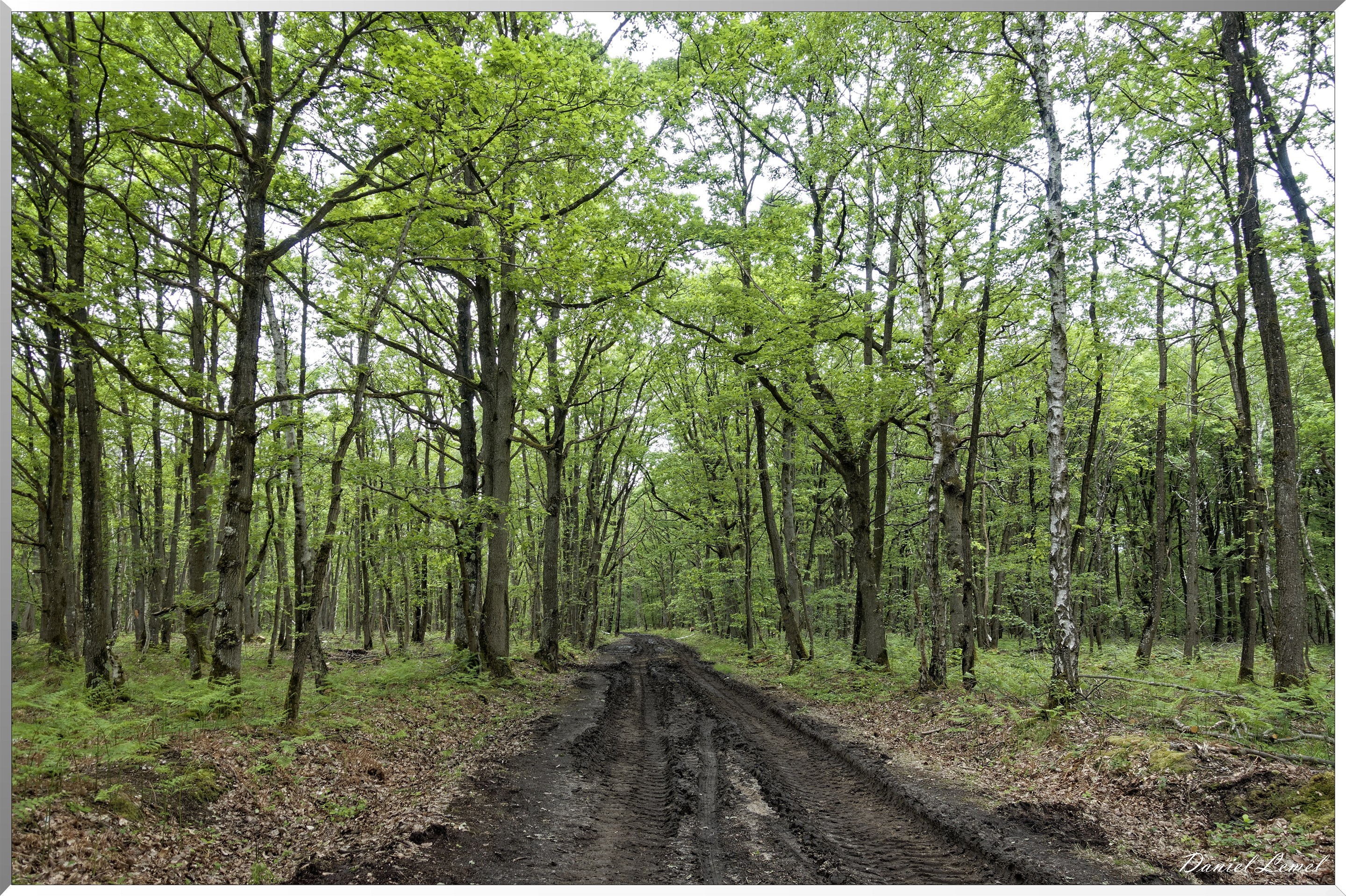 Saint-Pierre-de-Bailleul