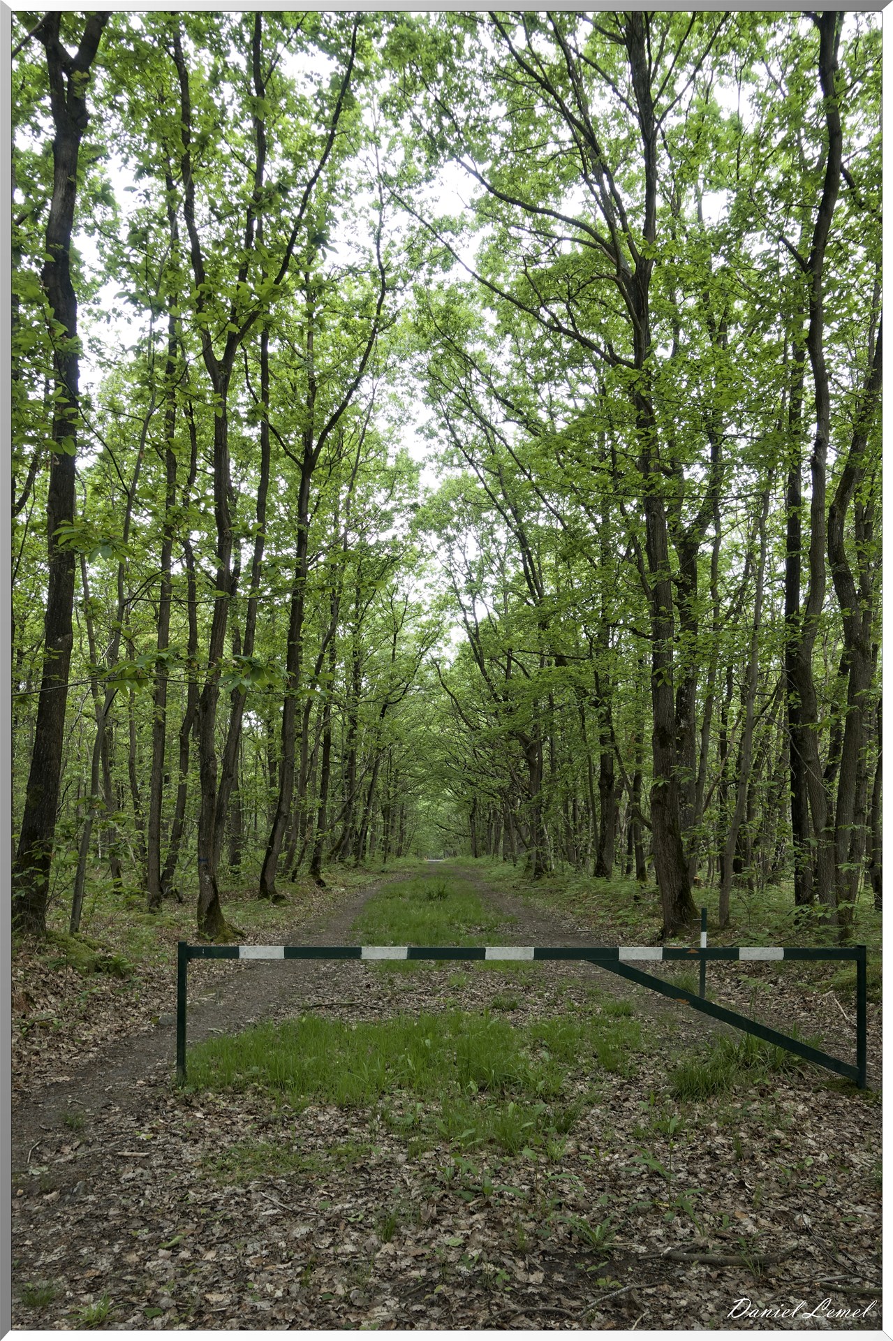 Saint-Pierre-de-Bailleul