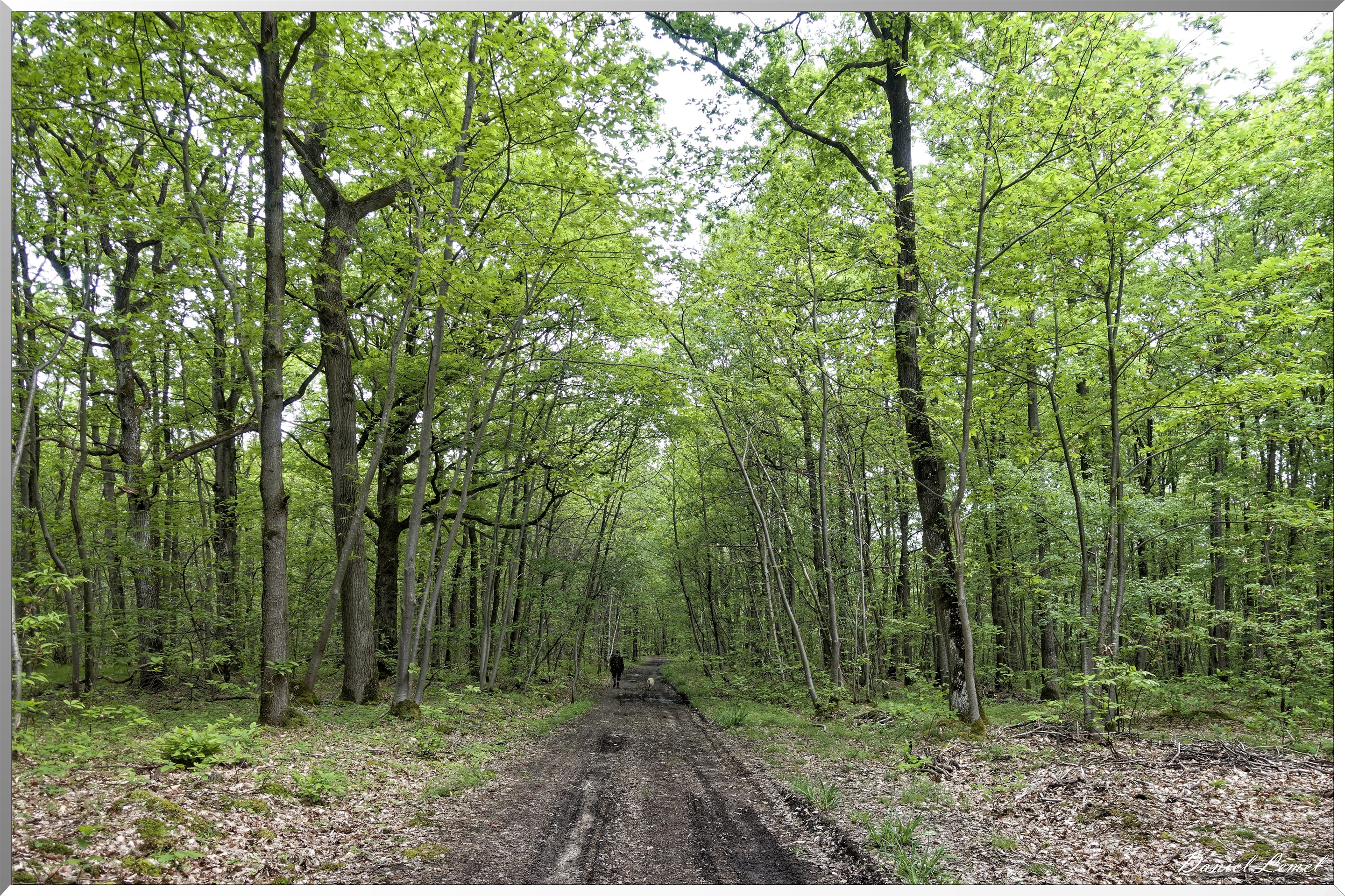 Saint-Pierre-de-Bailleul