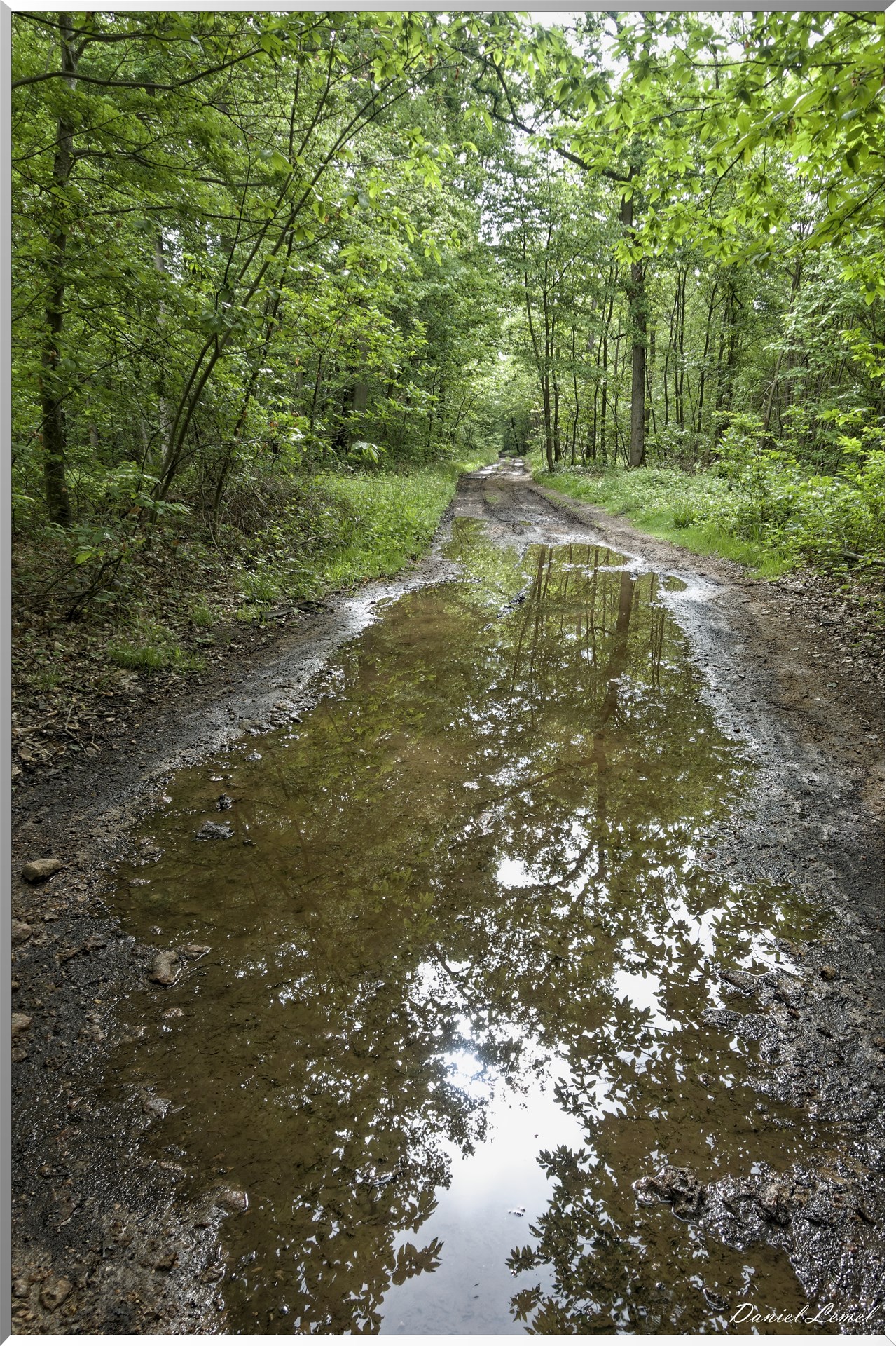 Saint-Pierre-de-Bailleul