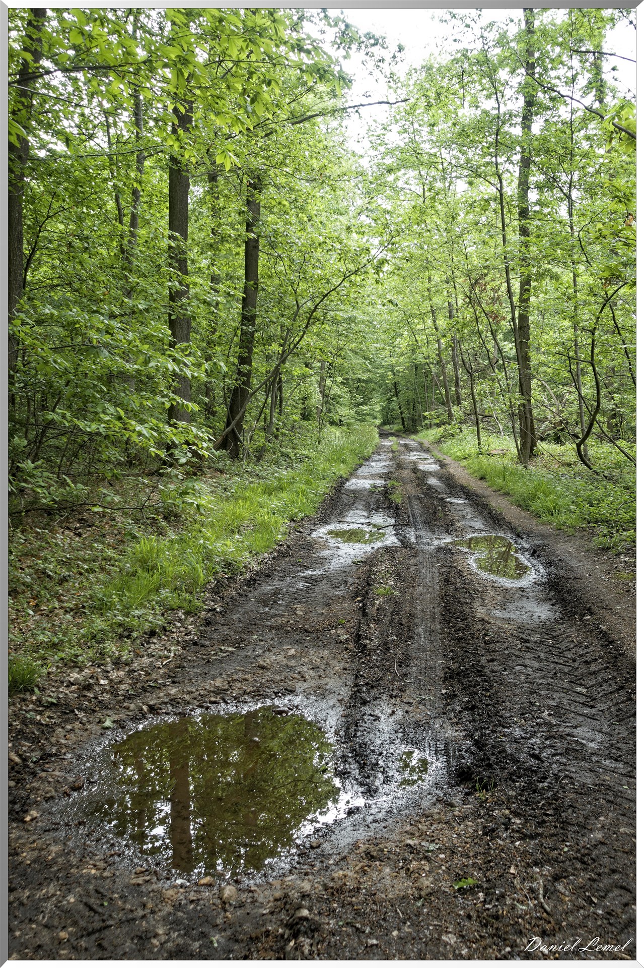 Saint-Pierre-de-Bailleul