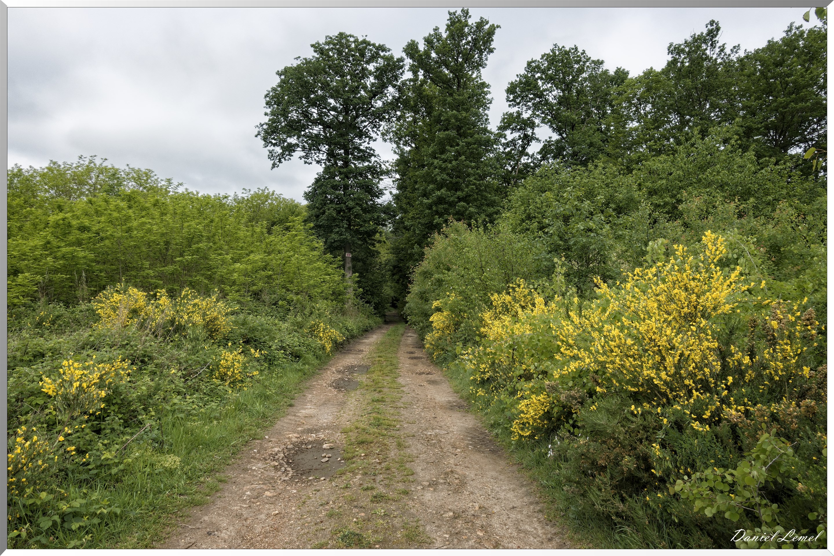 Saint-Pierre-de-Bailleul