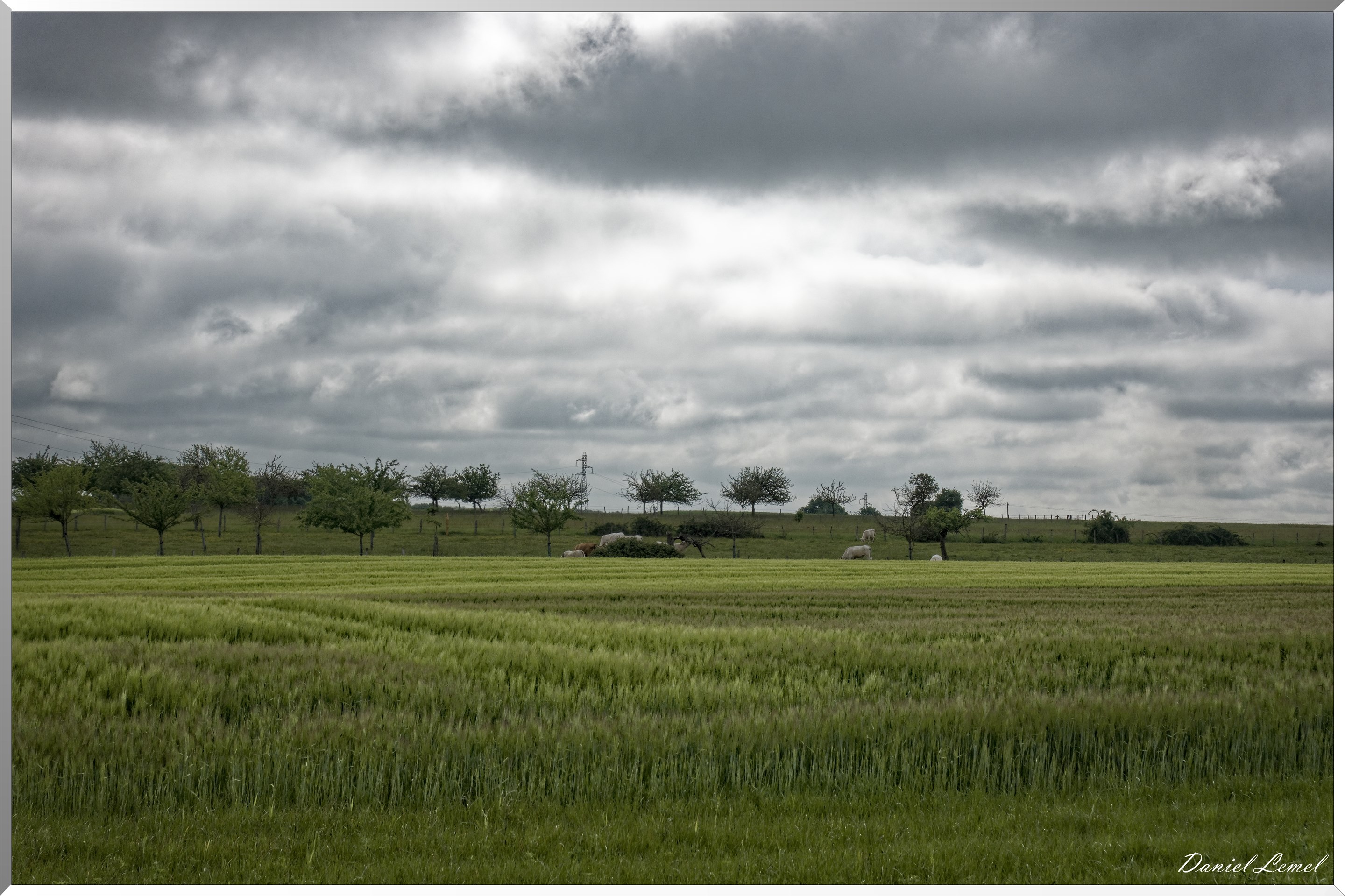 Saint-Pierre-de-Bailleul