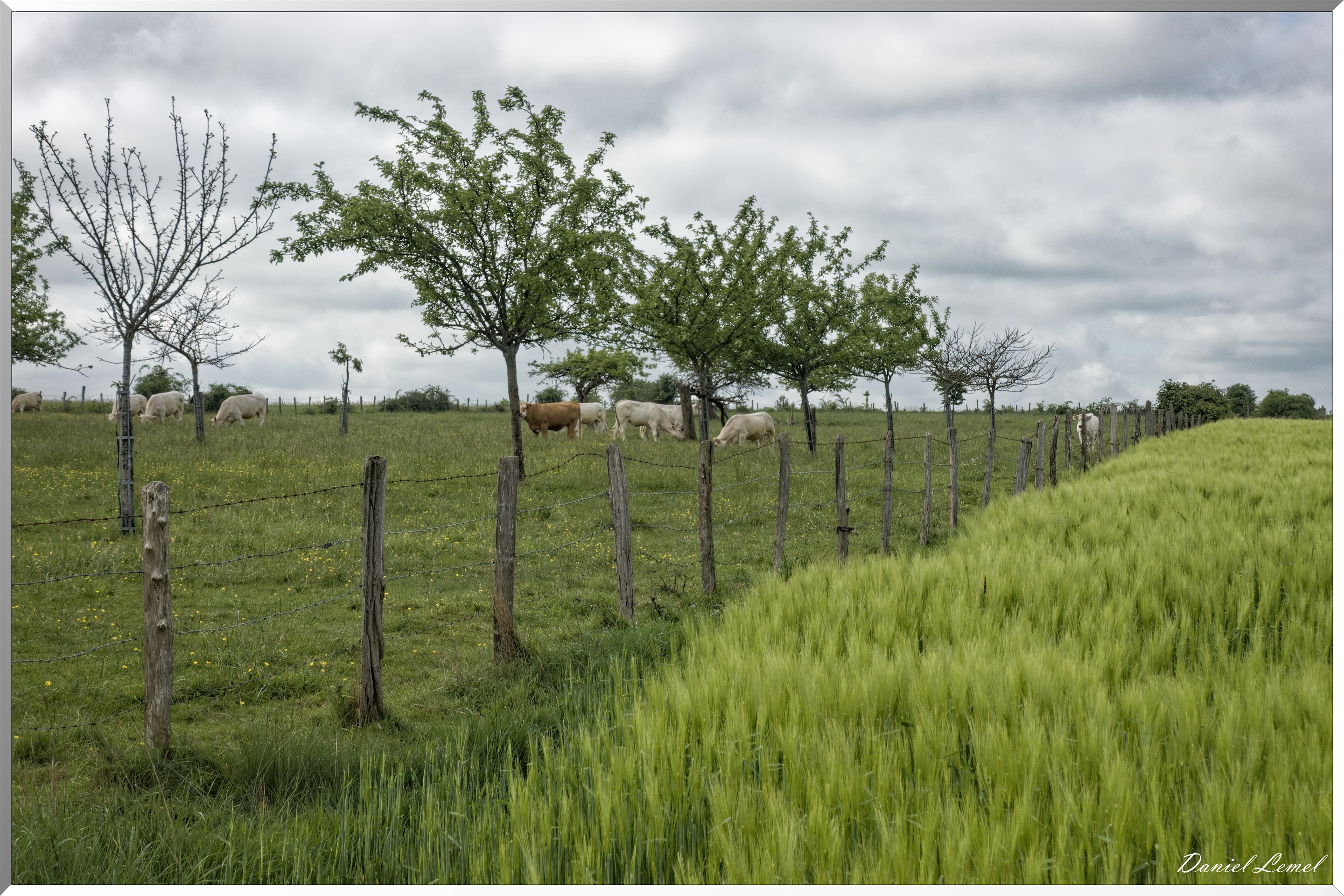 Saint-Pierre-de-Bailleul