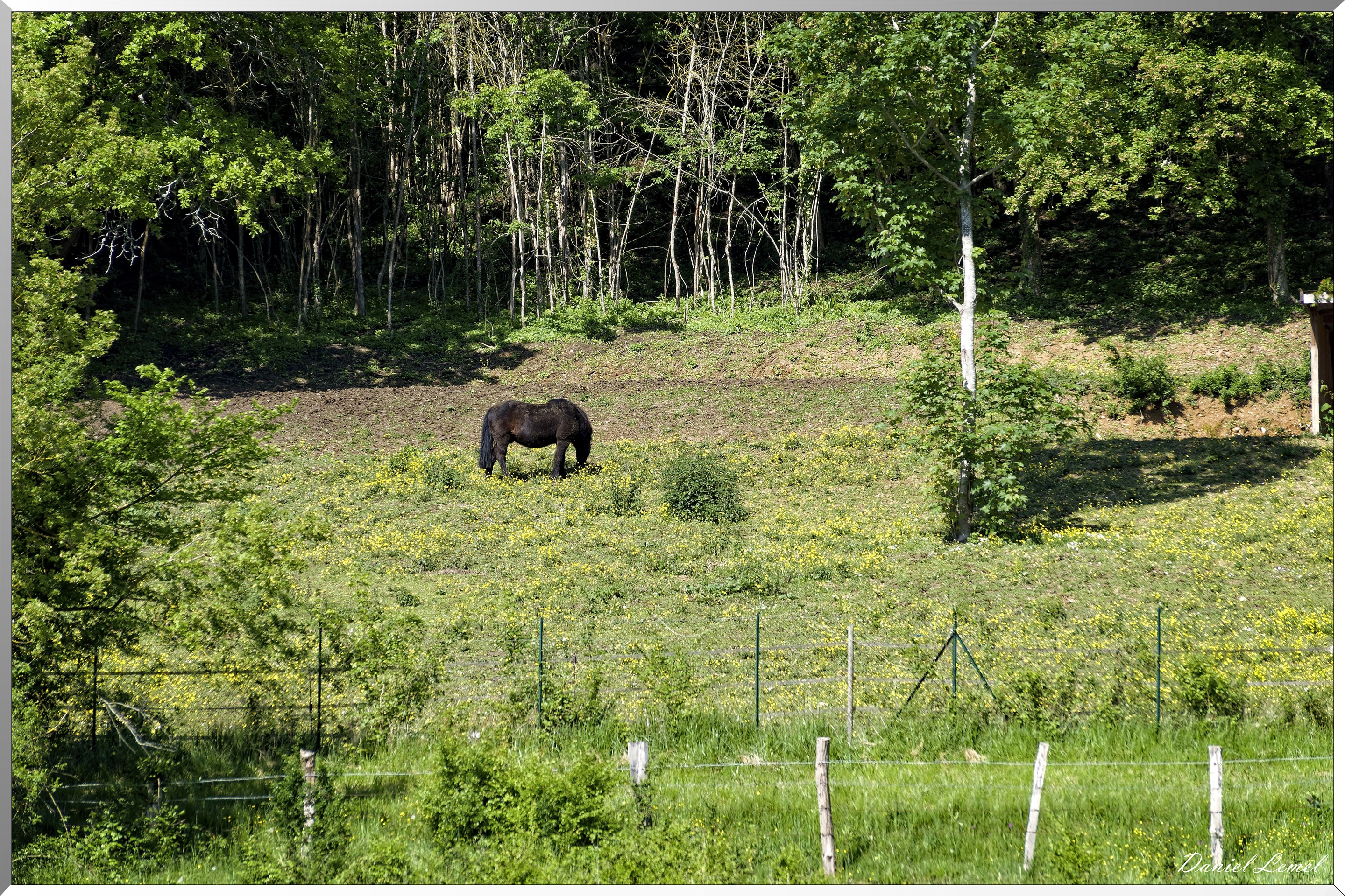Saint-Pierre-de-Bailleul