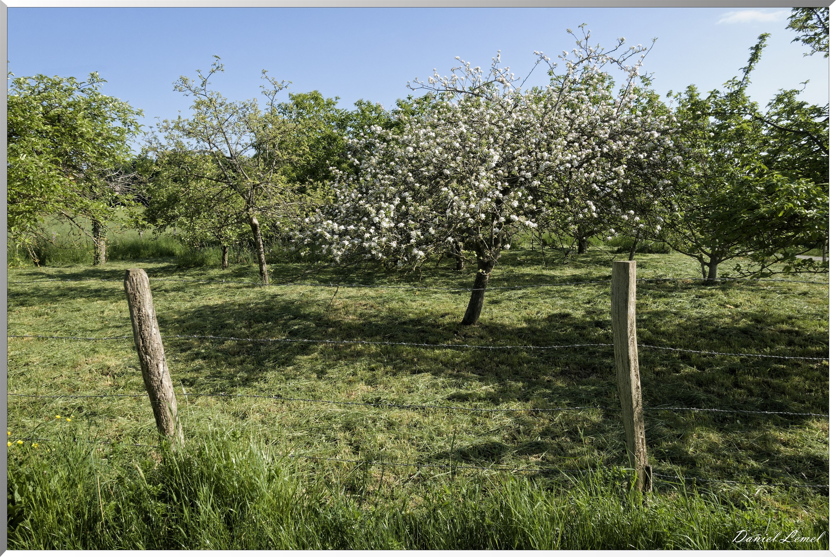 Saint-Pierre-de-Bailleul