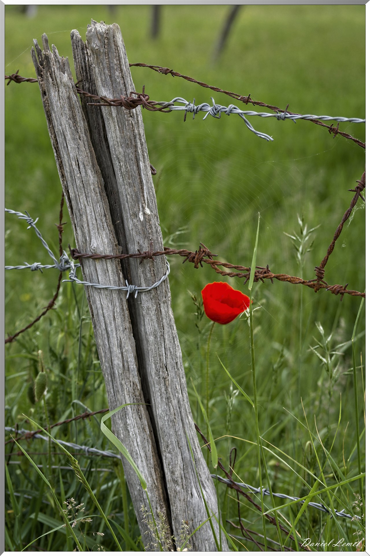Saint-Pierre-de-Bailleul