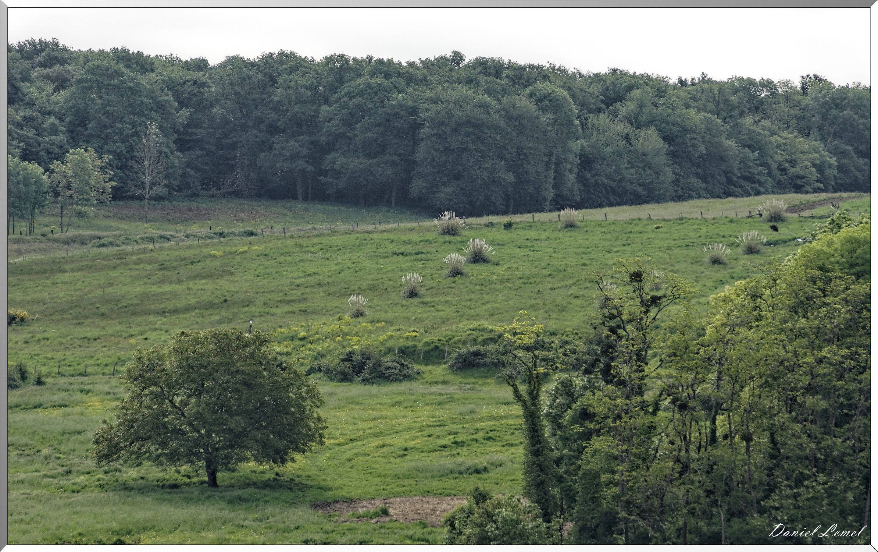 Saint-Pierre-de-Bailleul