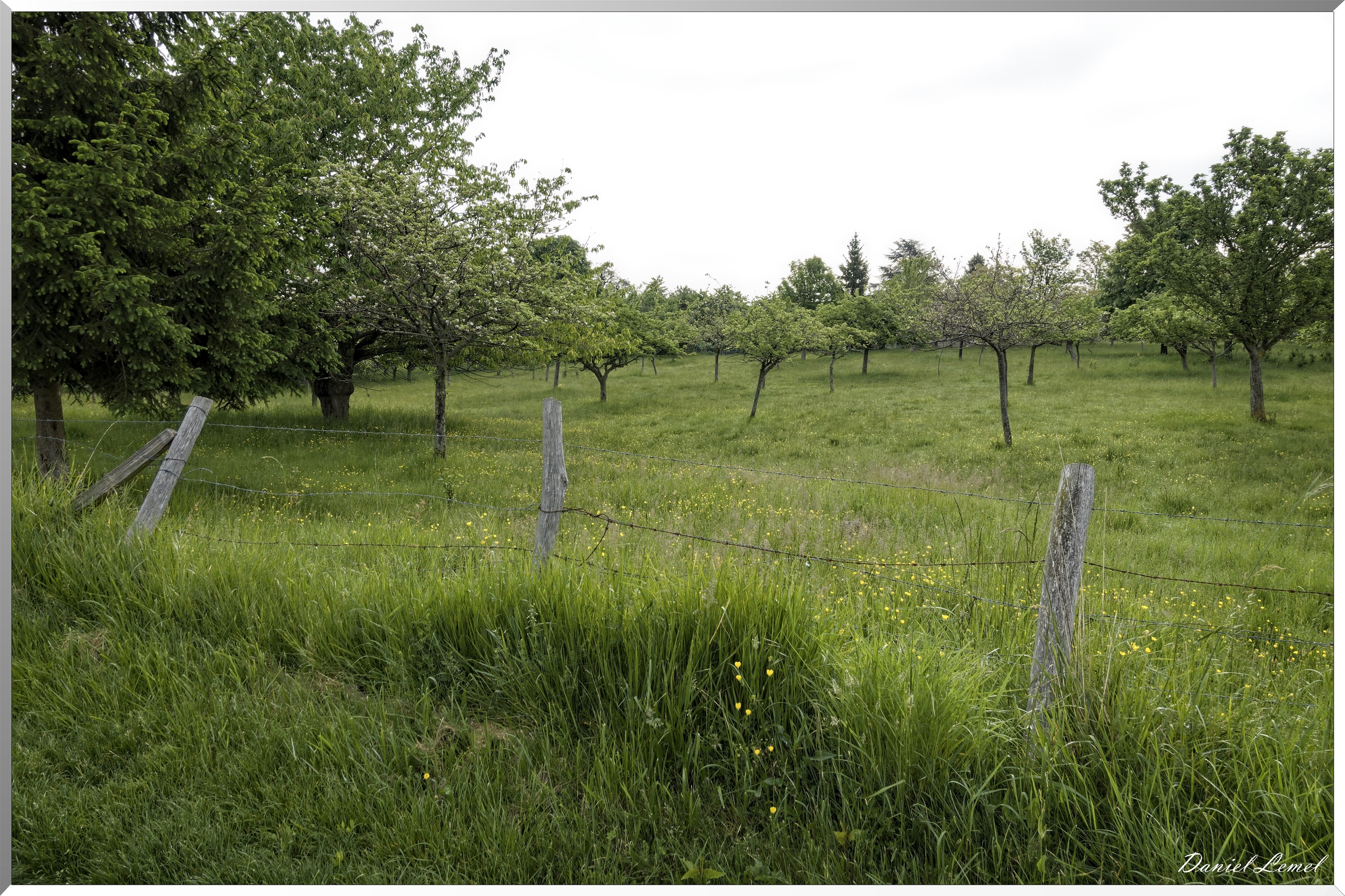 Saint-Pierre-de-Bailleul