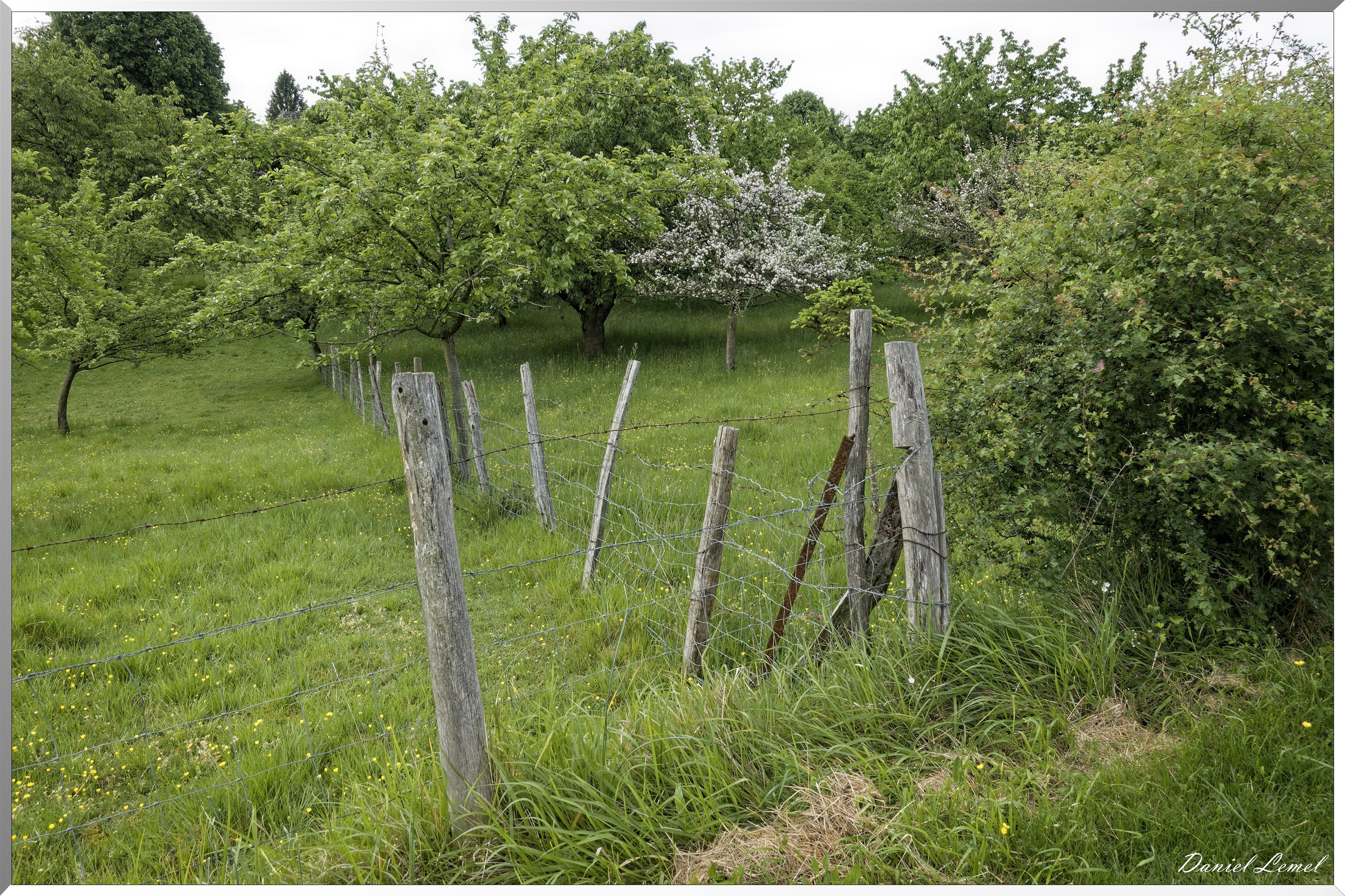 Saint-Pierre-de-Bailleul