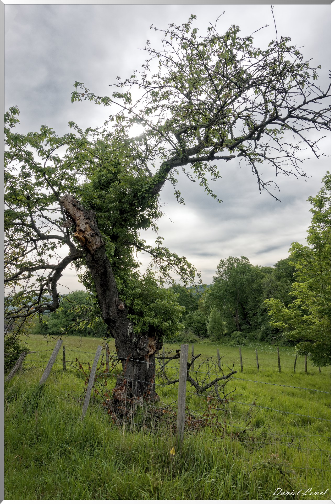 Saint-Pierre-de-Bailleul