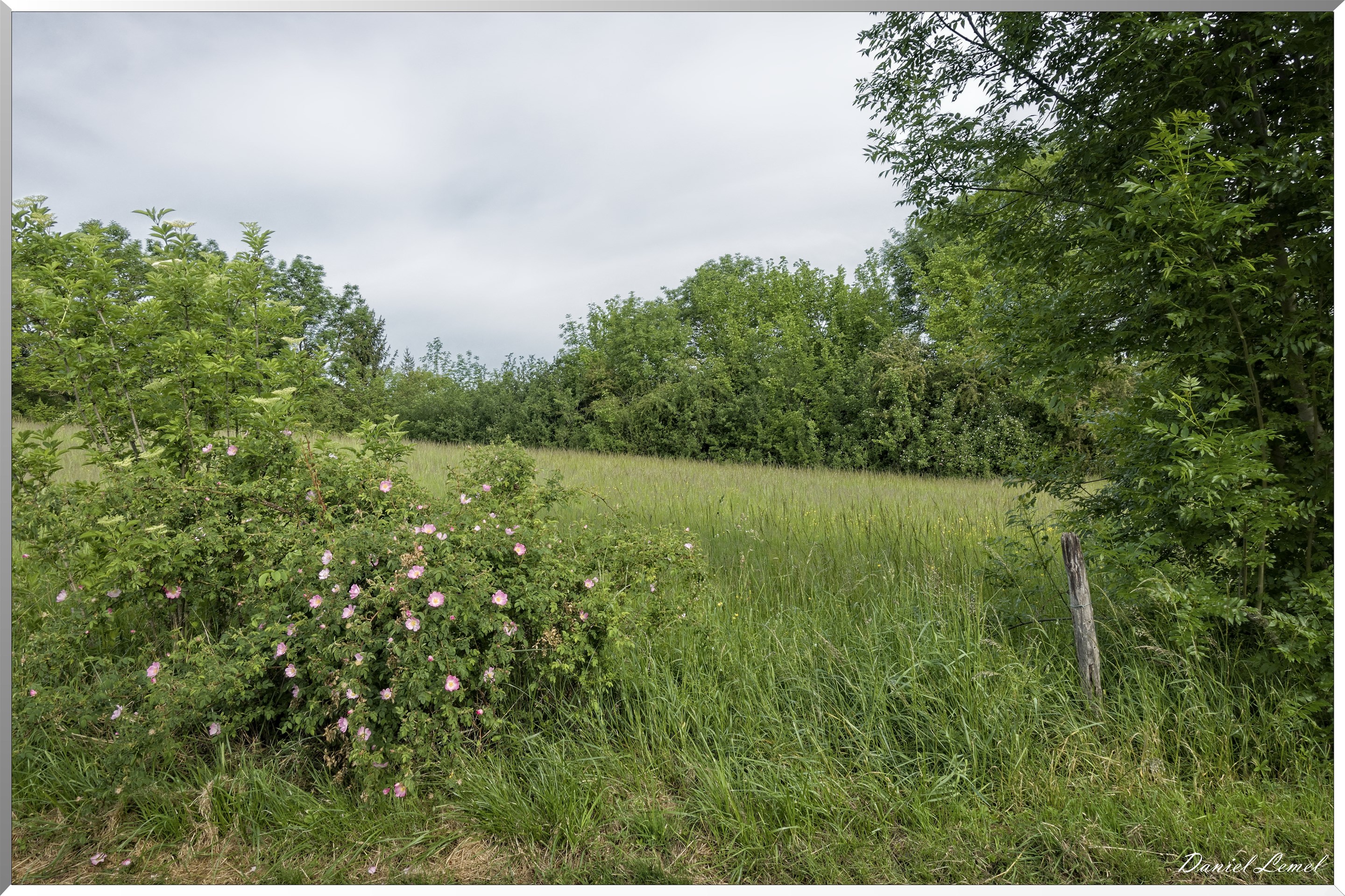 Saint-Pierre-de-Bailleul