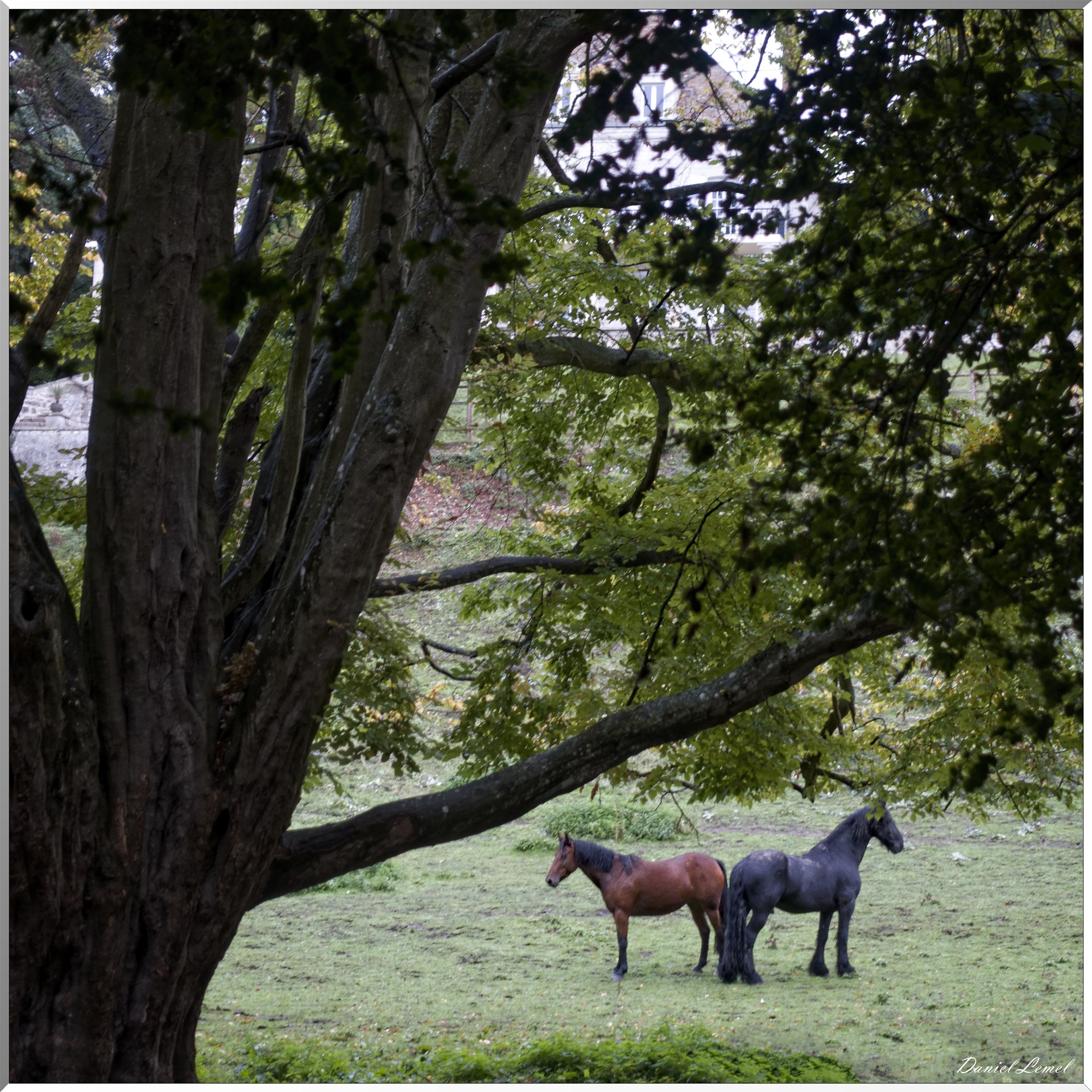 Pressagny l'Orgueilleux