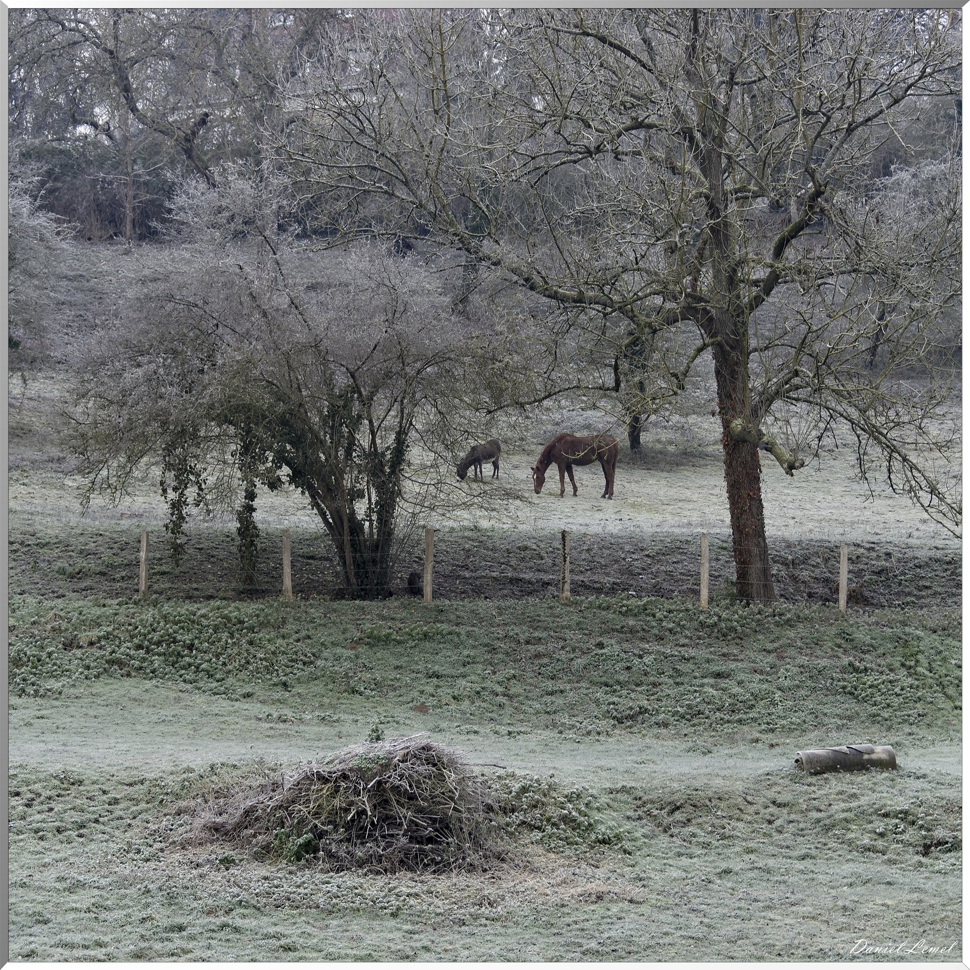 Saint-Pierre-de-Bailleul