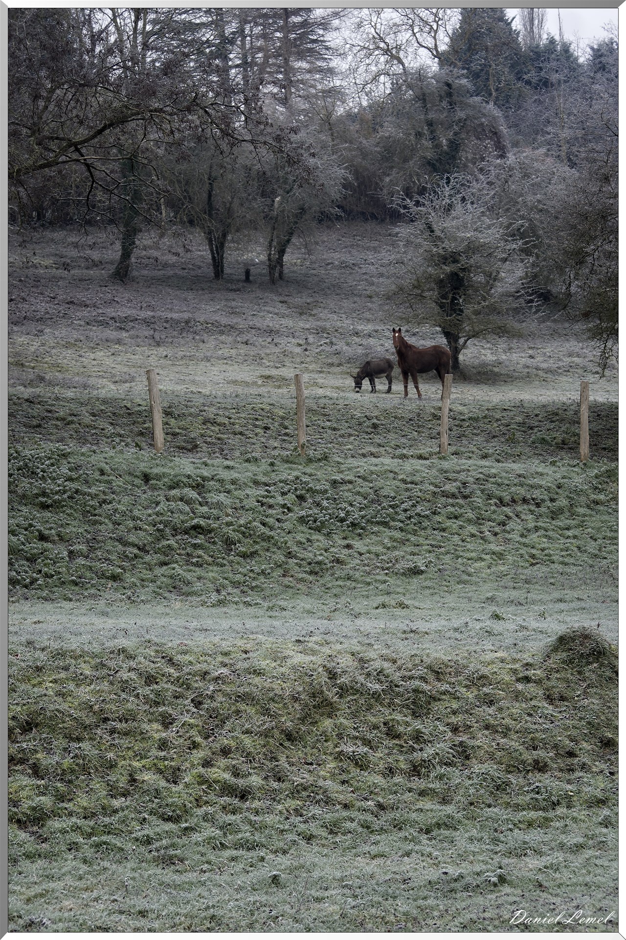 Saint-Pierre-de-Bailleul