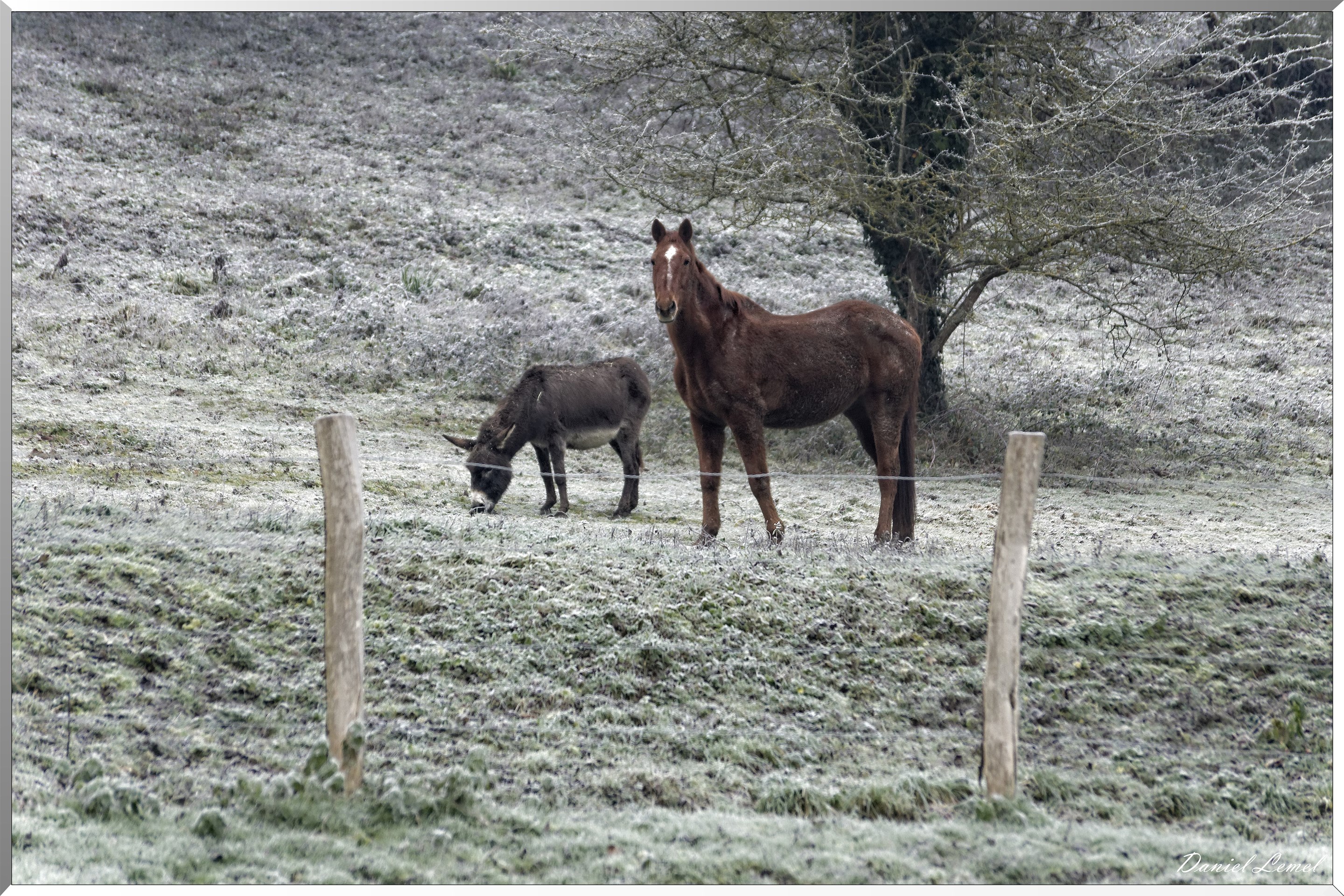 Saint-Pierre-de-Bailleul
