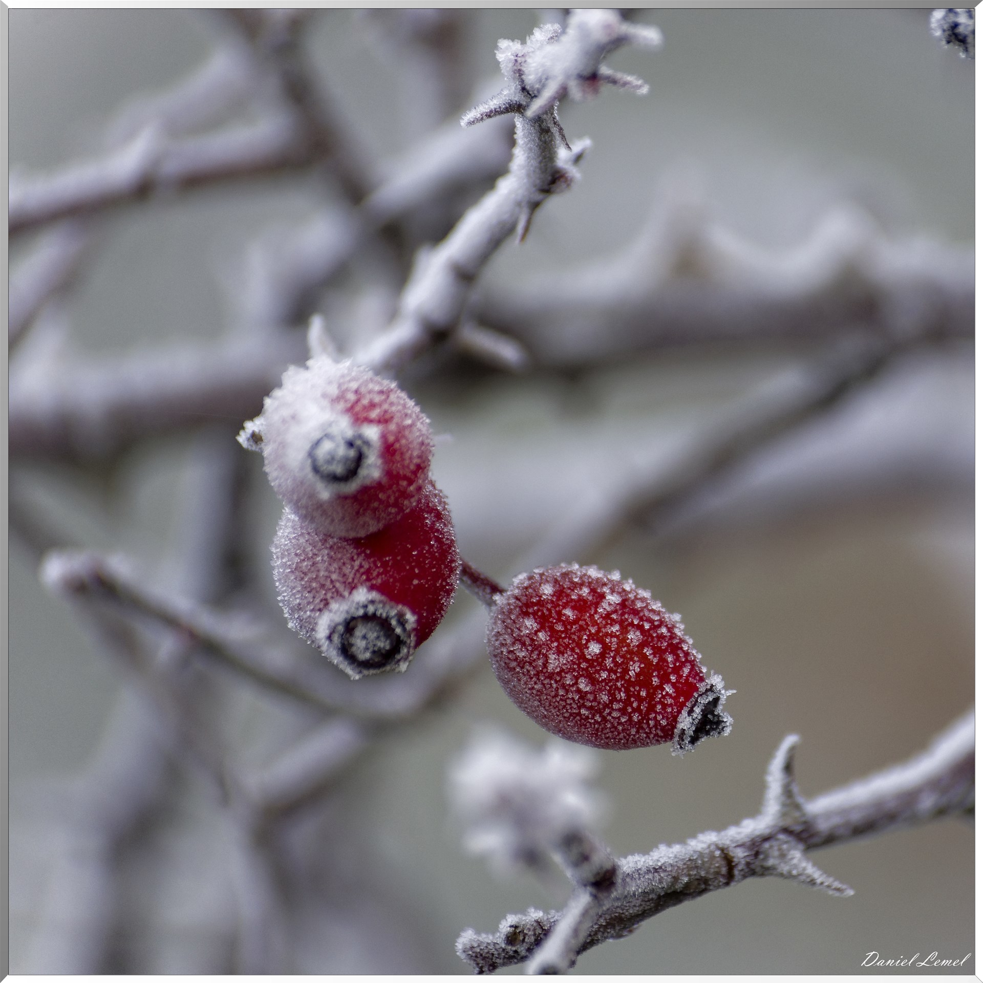 Saint-Pierre-de-Bailleul