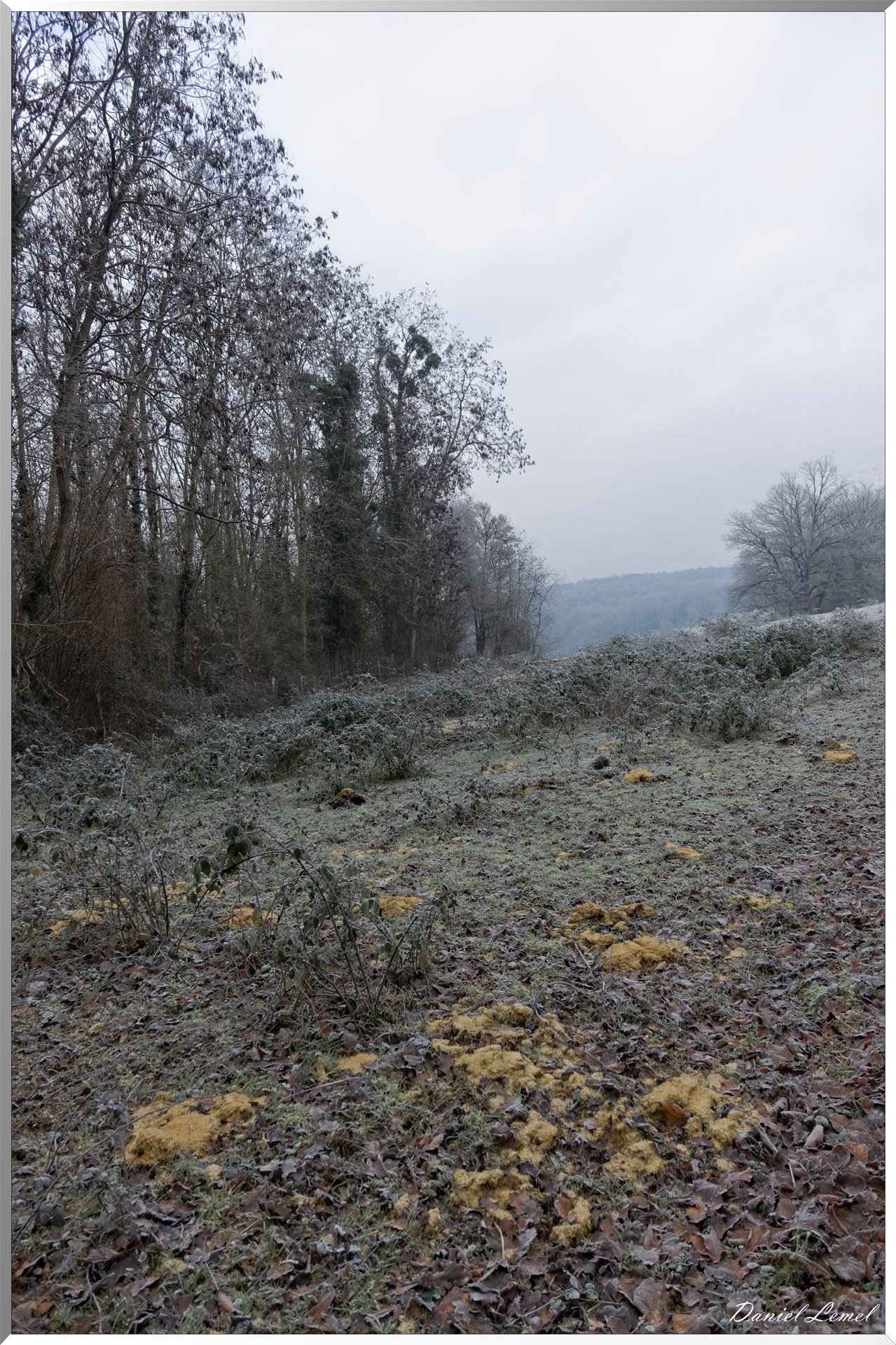 Saint-Pierre-de-Bailleul