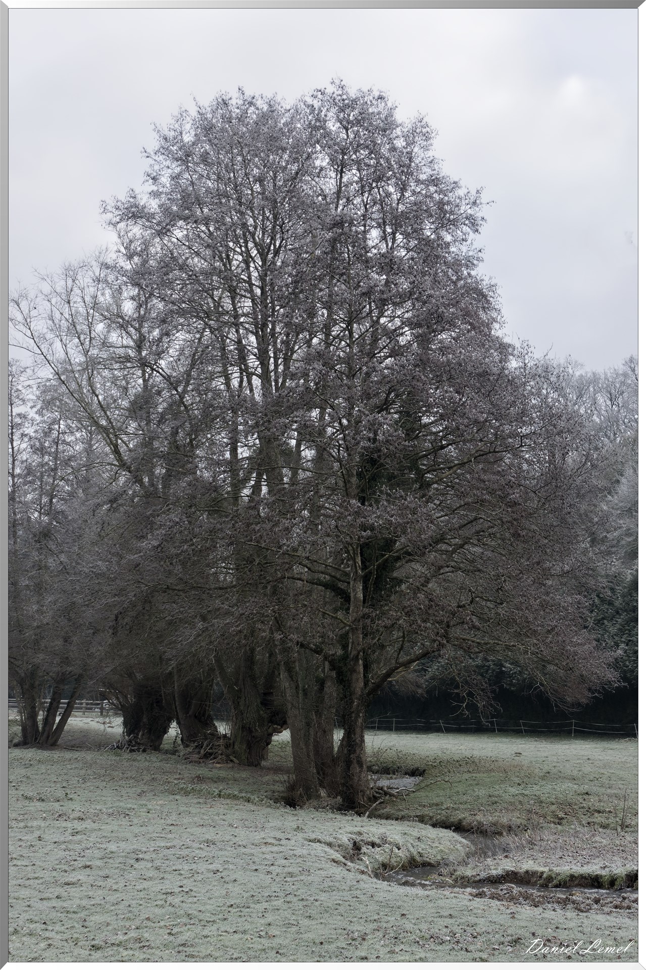 Saint-Pierre-de-Bailleul