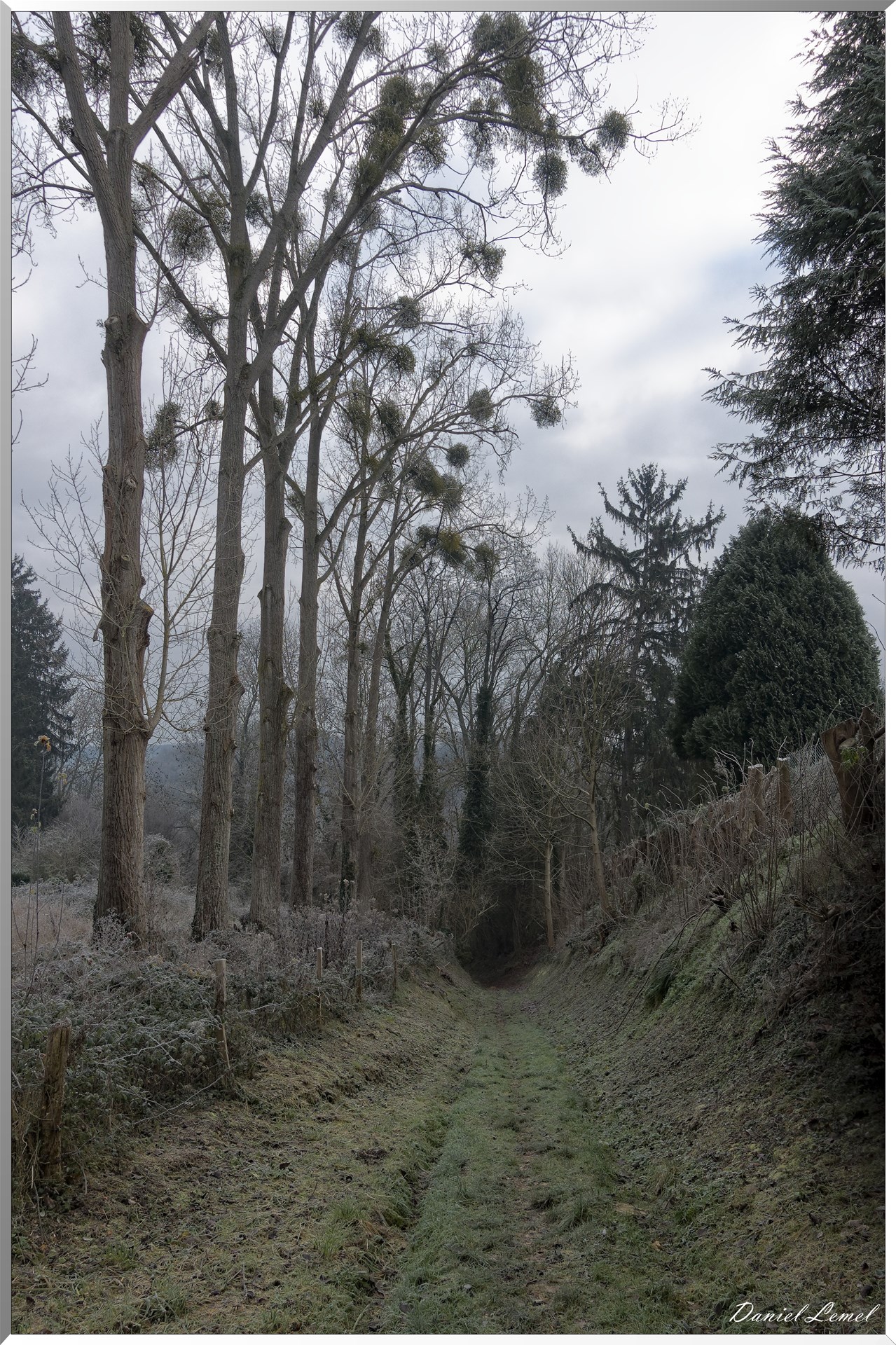 Saint-Pierre-de-Bailleul