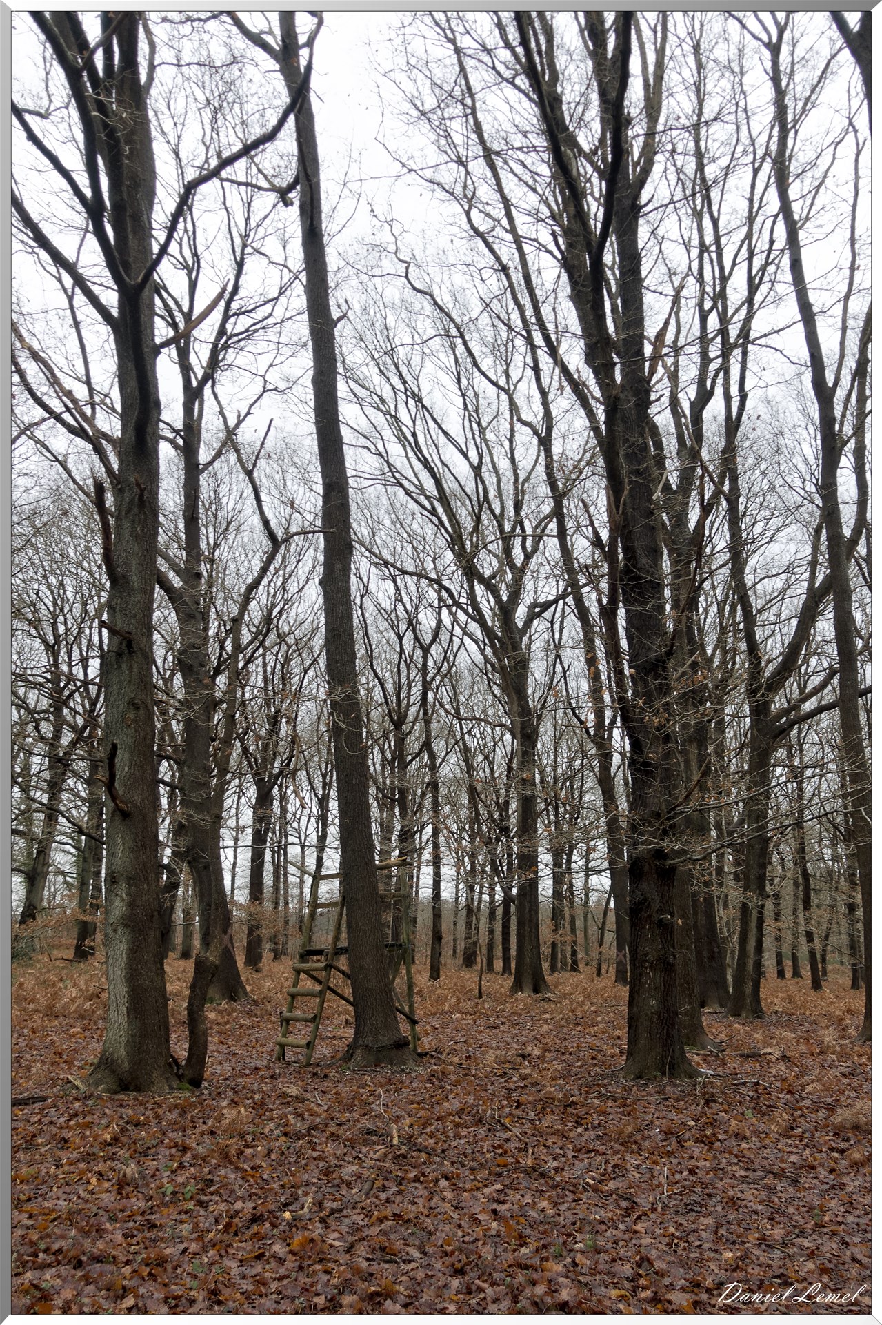Vernon - Forêt du LRBA