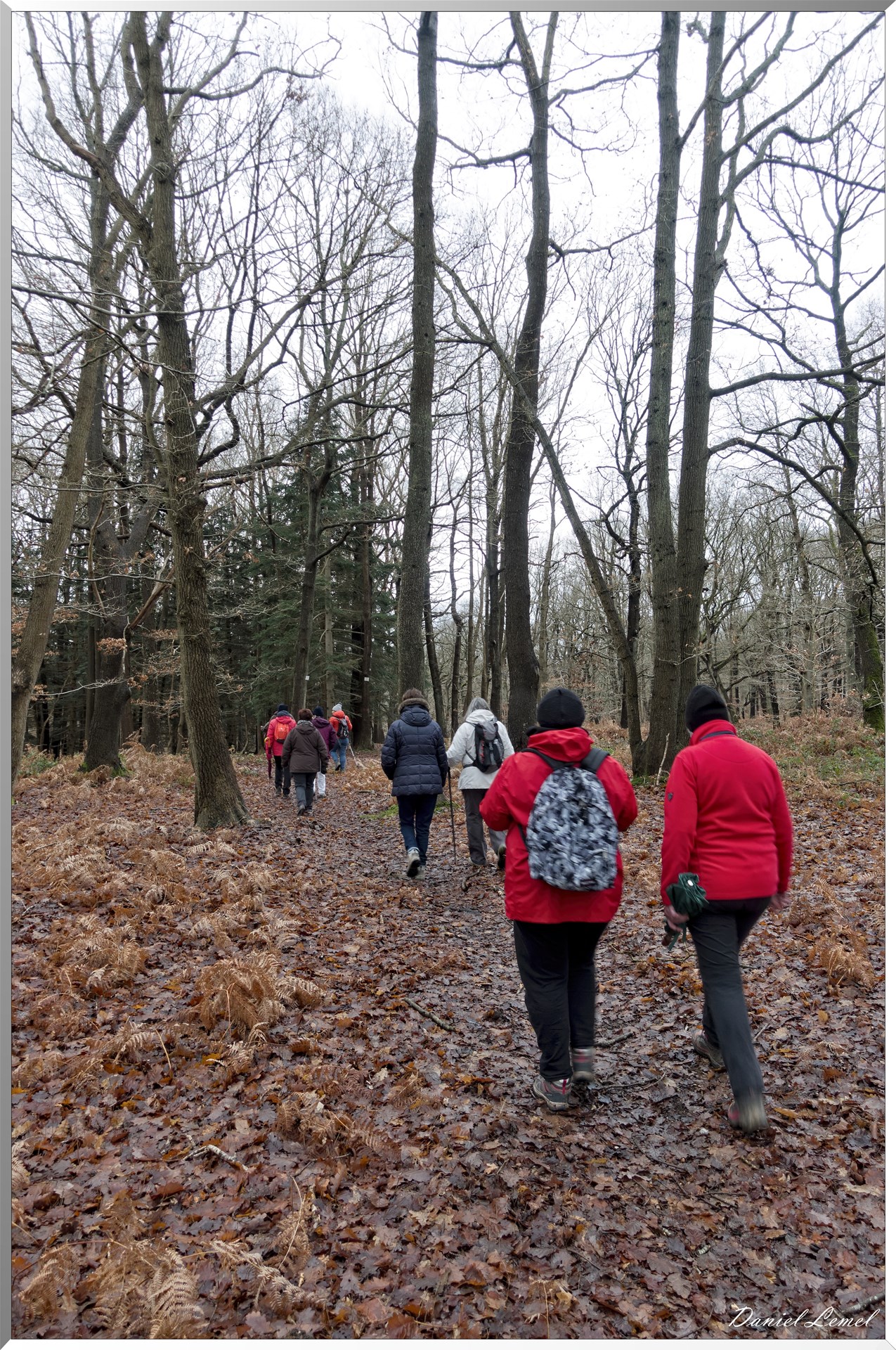 Vernon - Forêt du LRBA