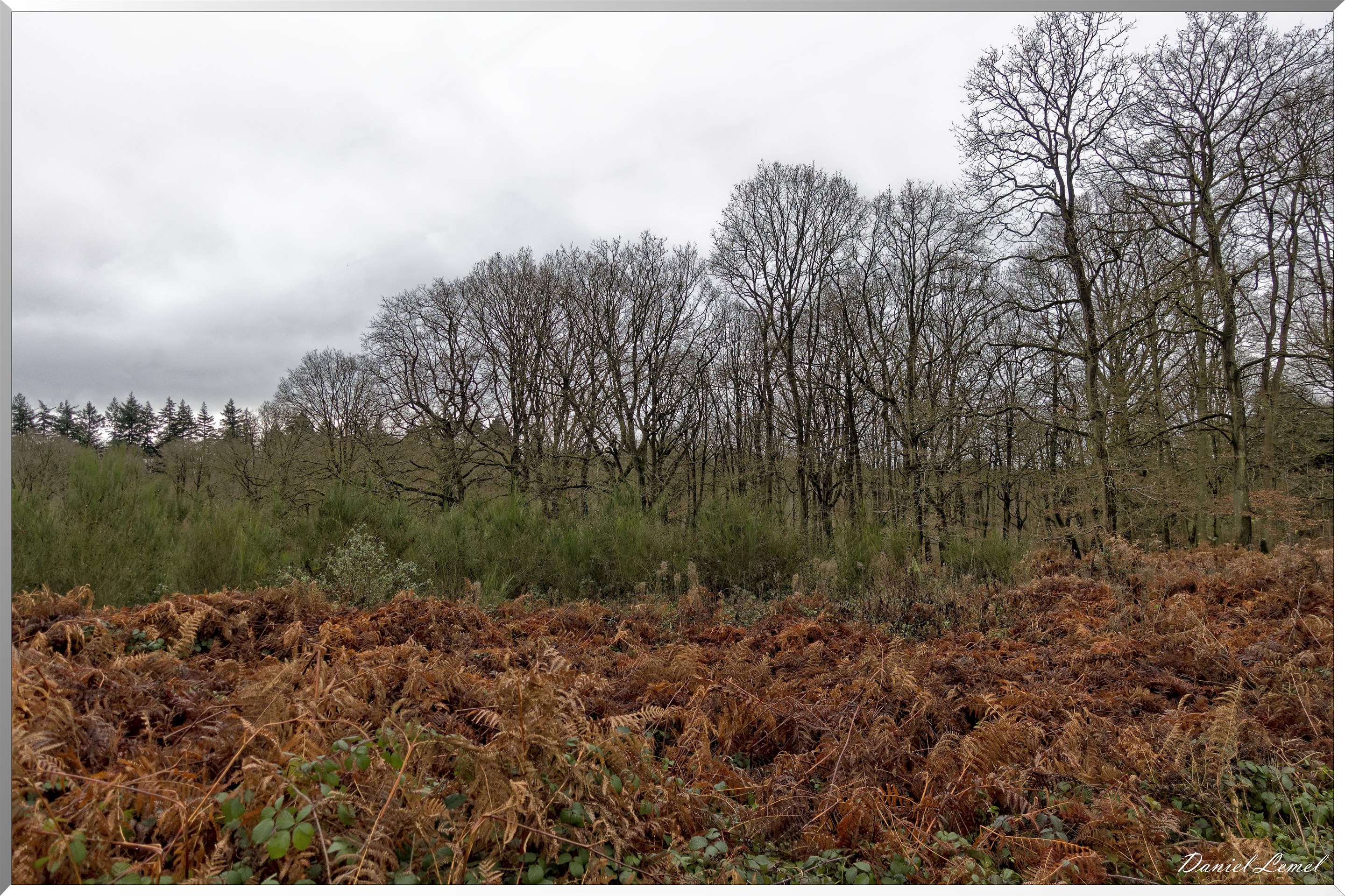 Vernon - Forêt du LRBA