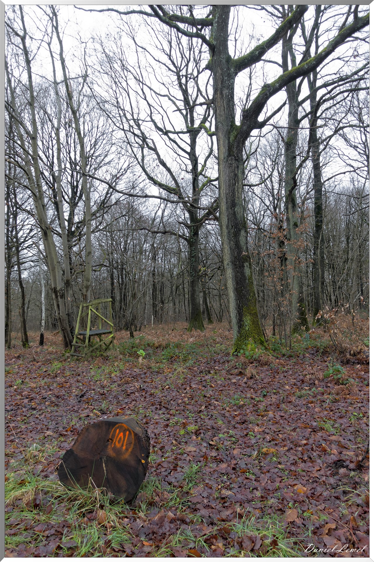 Vernon - Forêt du LRBA