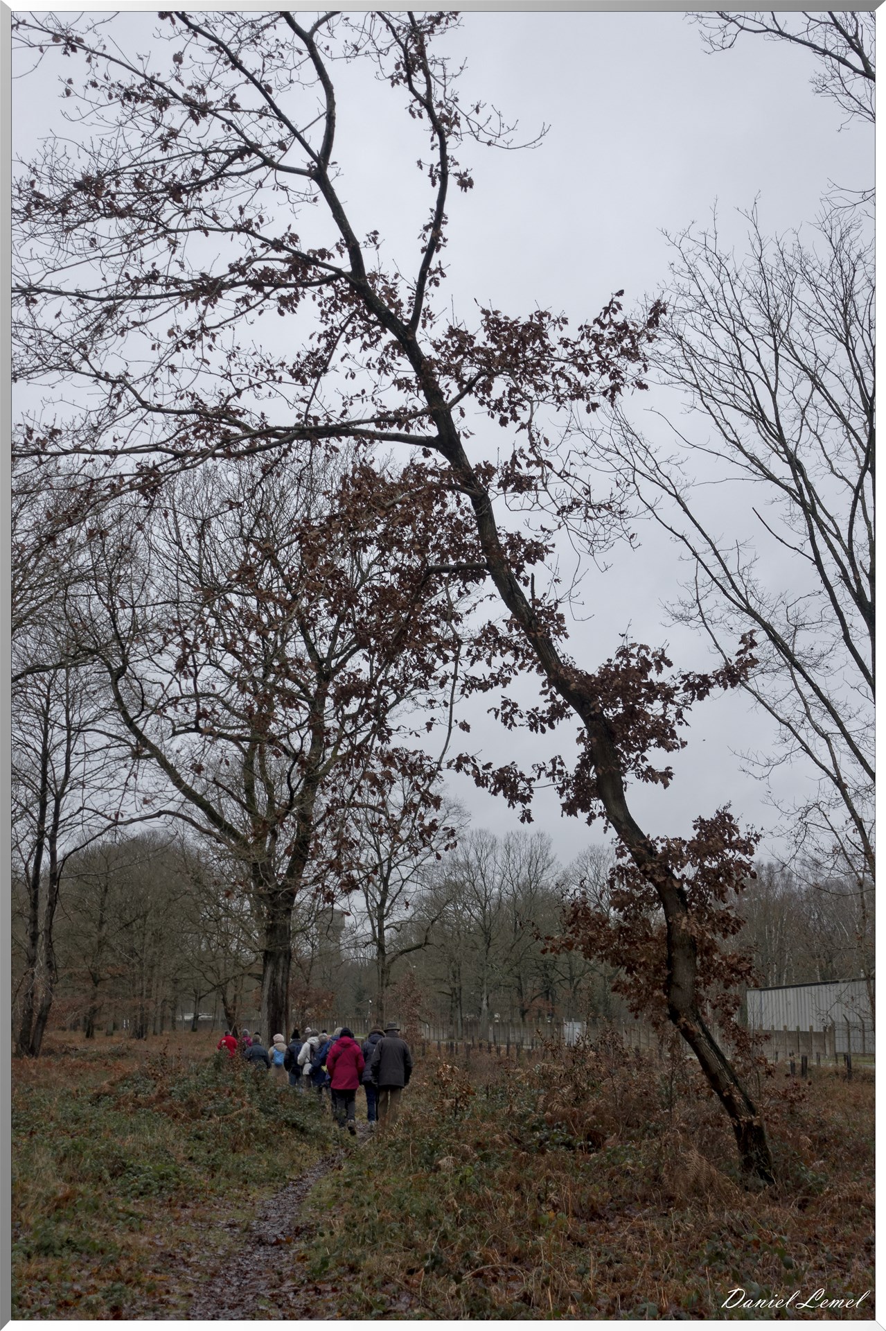 Vernon - Forêt du LRBA