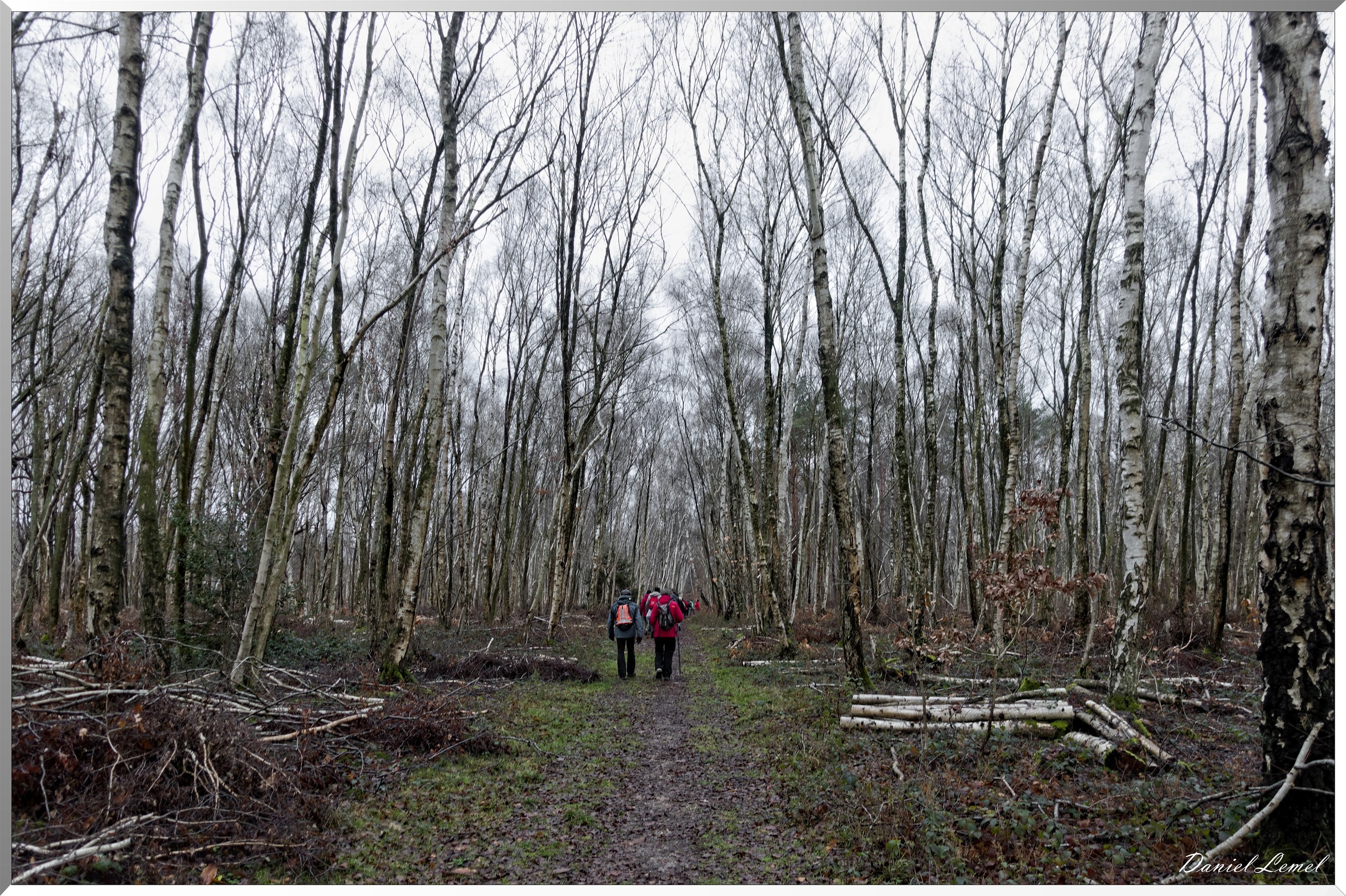 Vernon - Forêt du LRBA