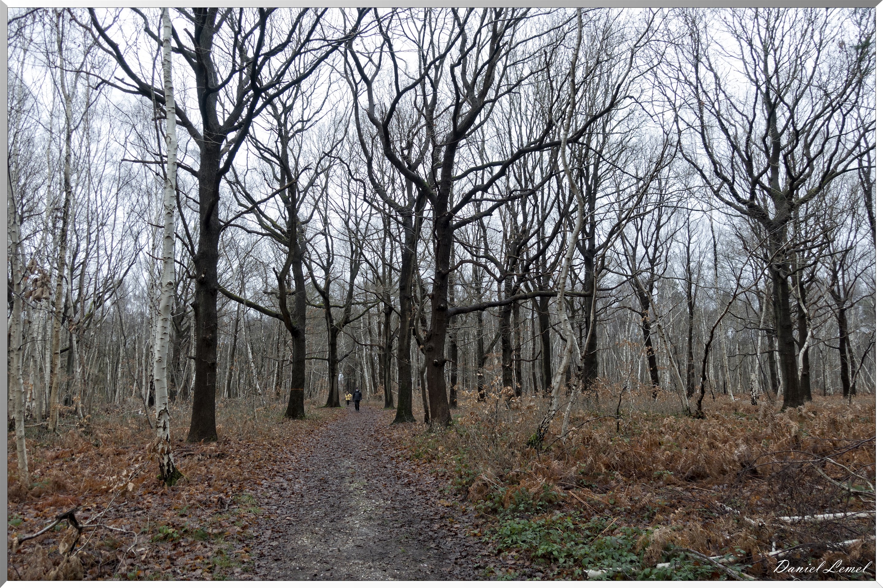 Vernon - Forêt du LRBA