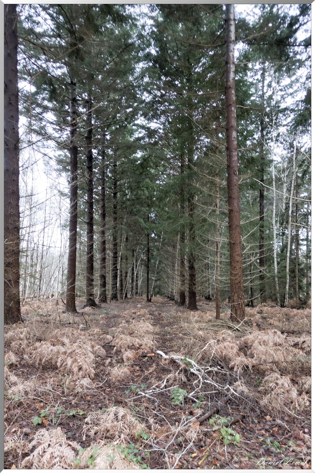 Vernon - Forêt du LRBA