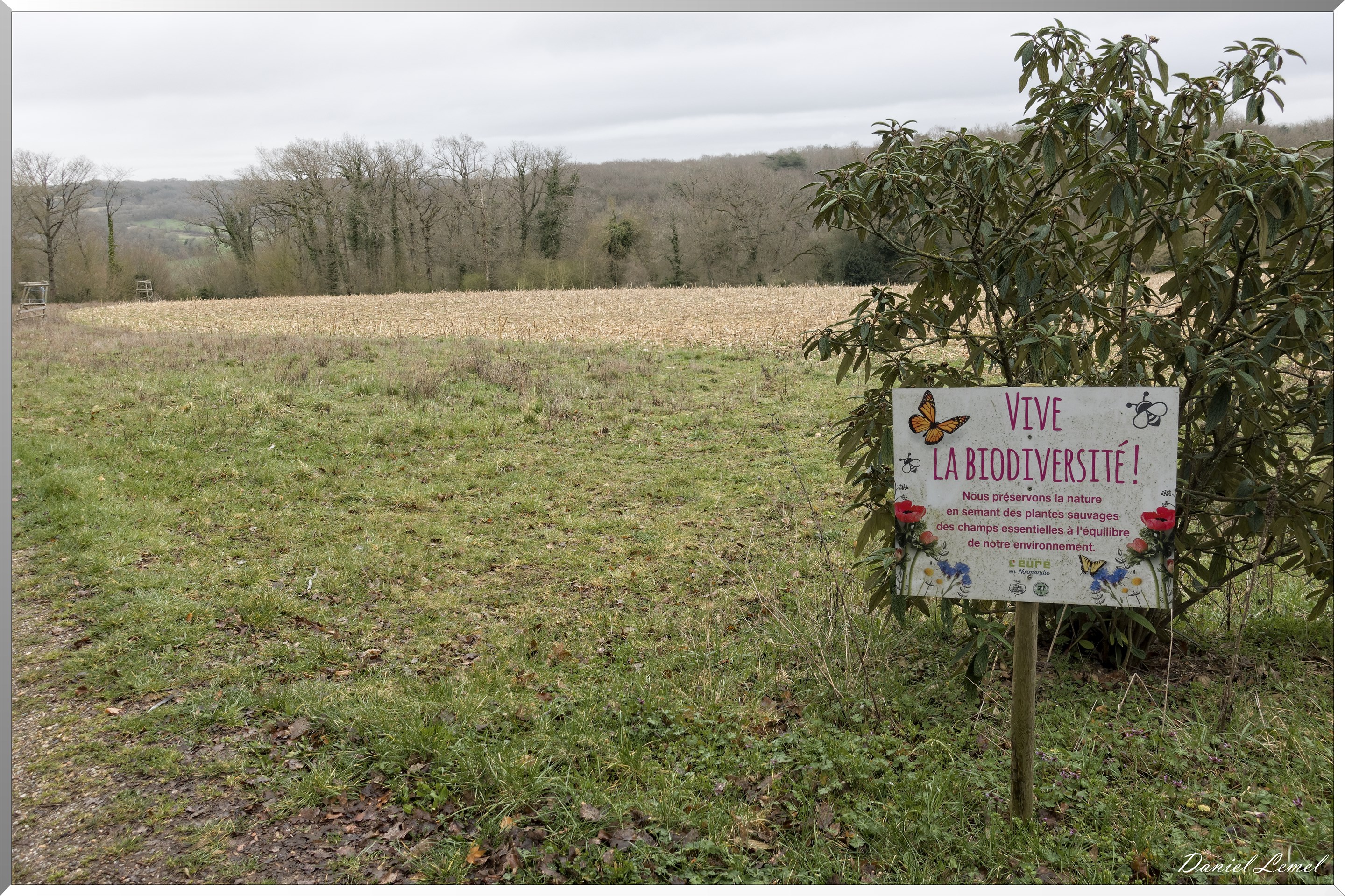 Boisset-les-Prévanches