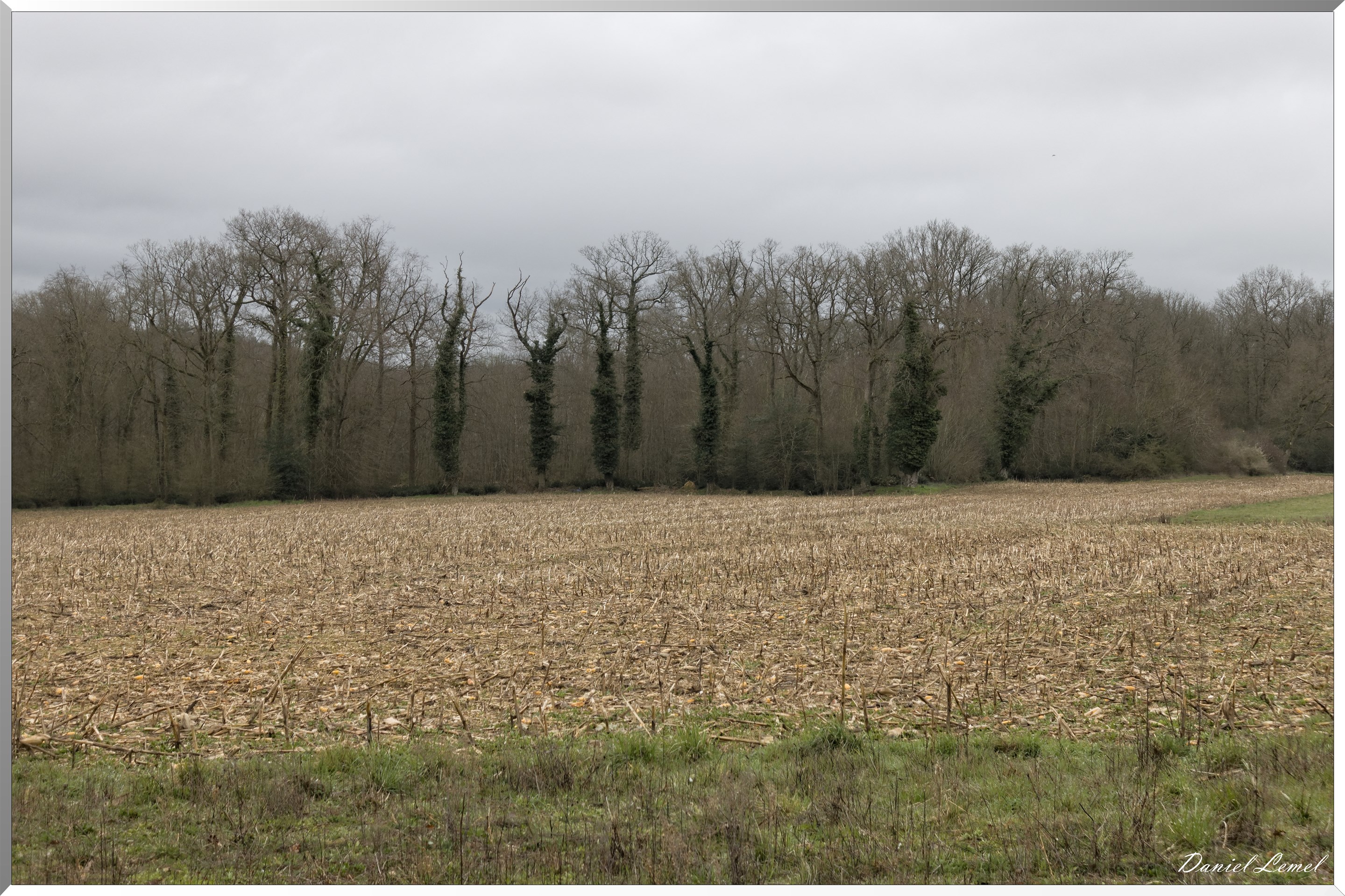 Boisset-les-Prévanches
