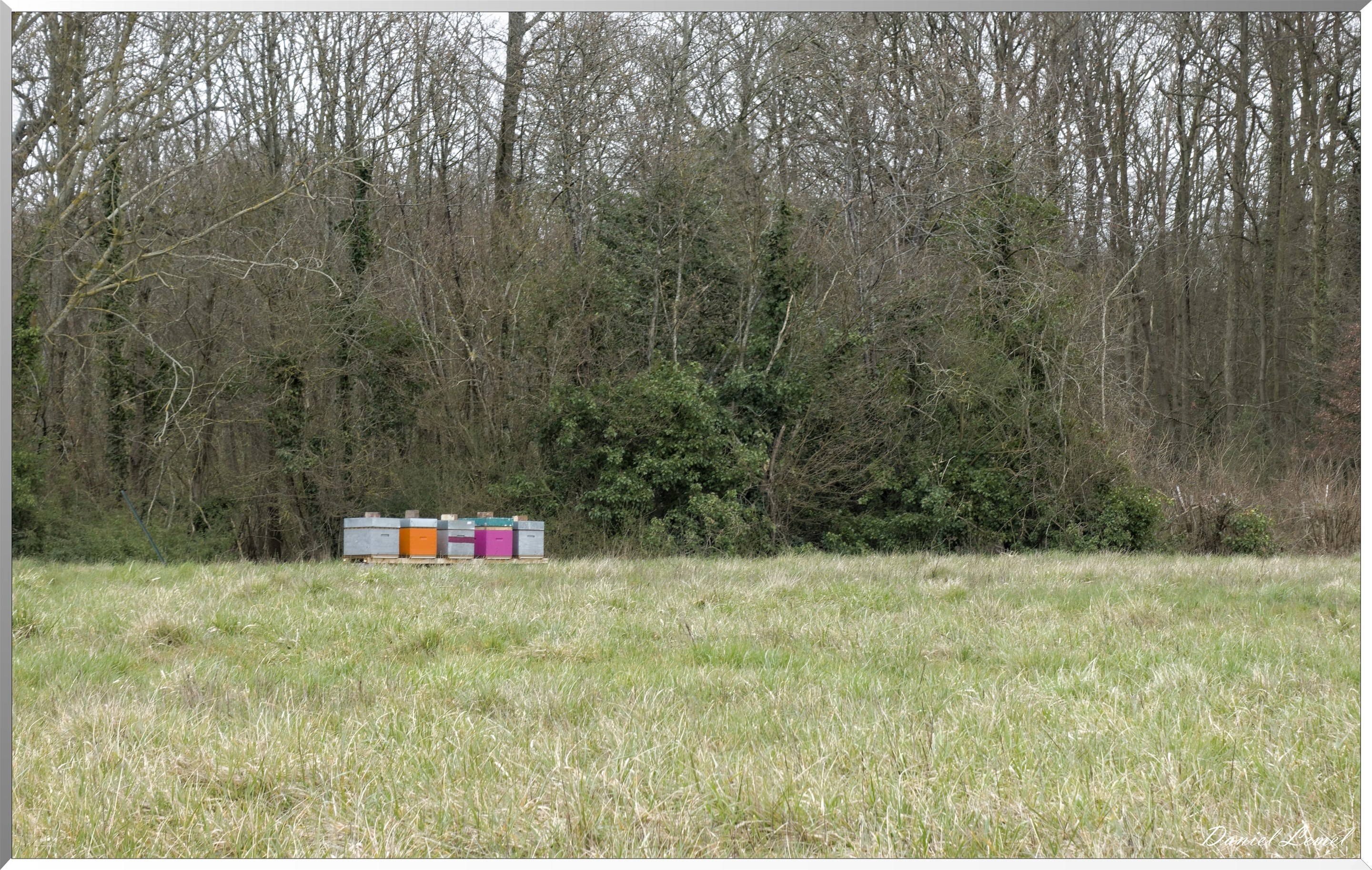 Boisset-les-Prévanches