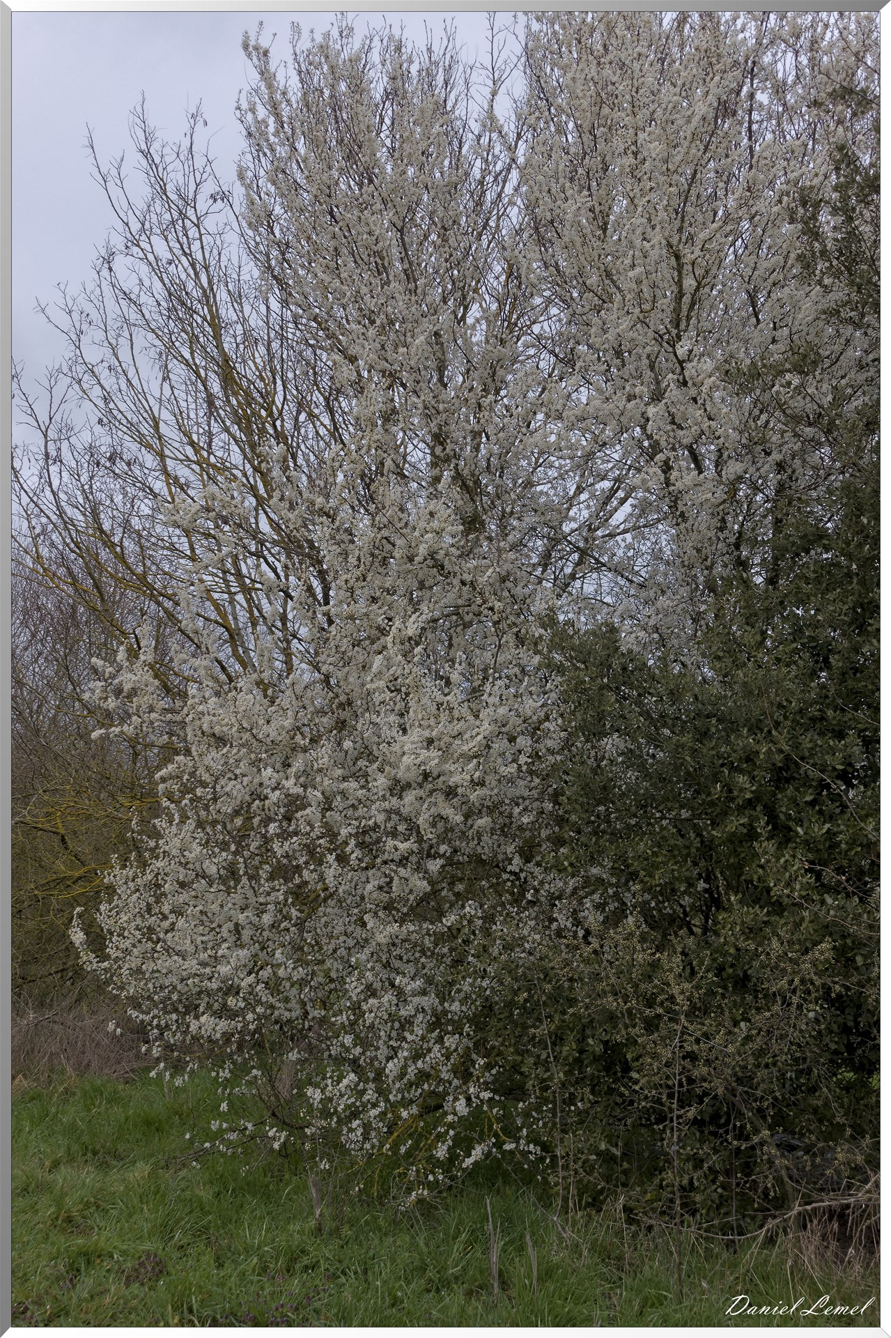 Boisset-les-Prévanches