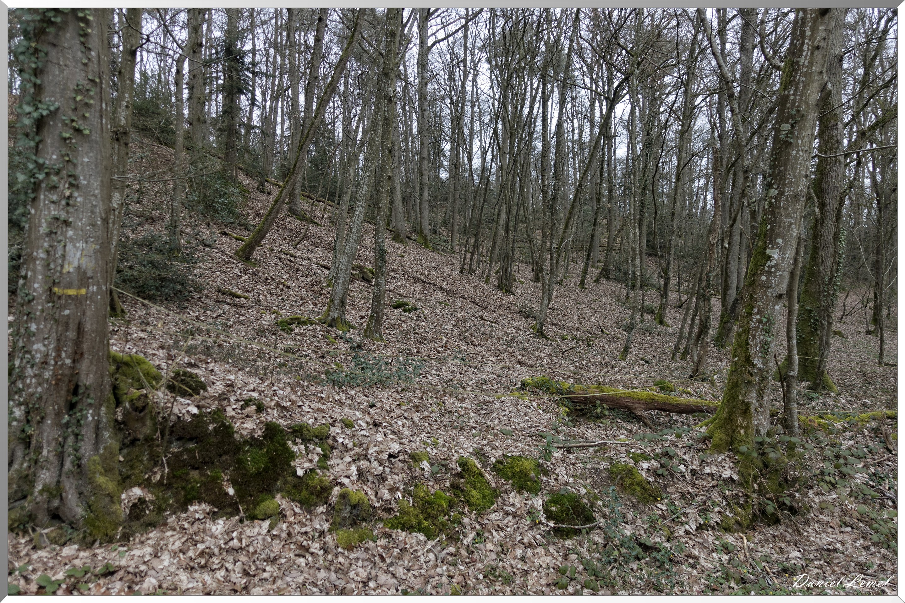 Boisset-les-Prévanches