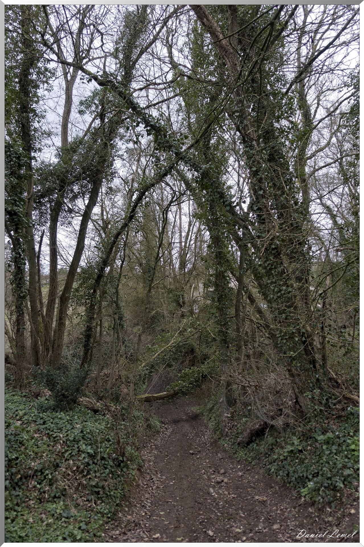 Boisset-les-Prévanches