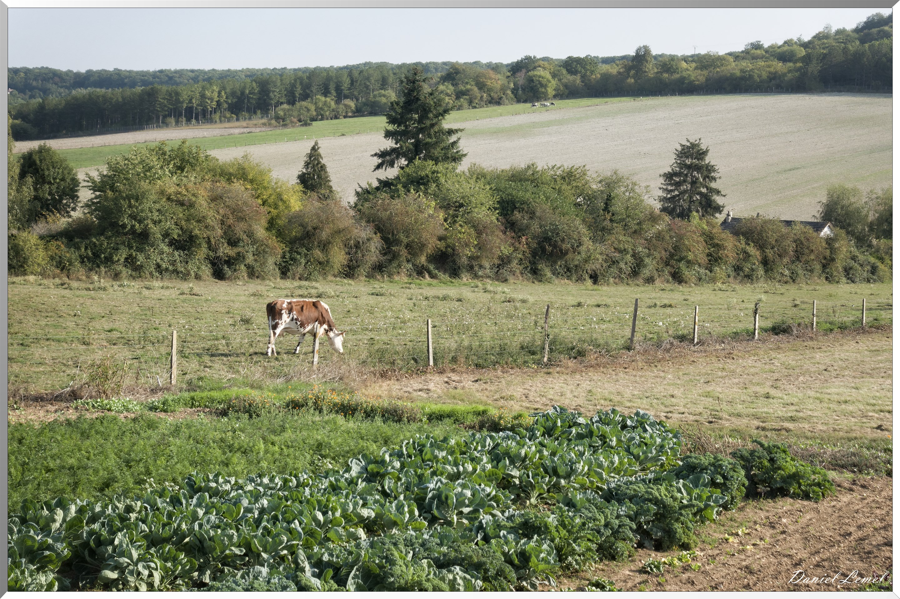 Le Mesnil-Milon