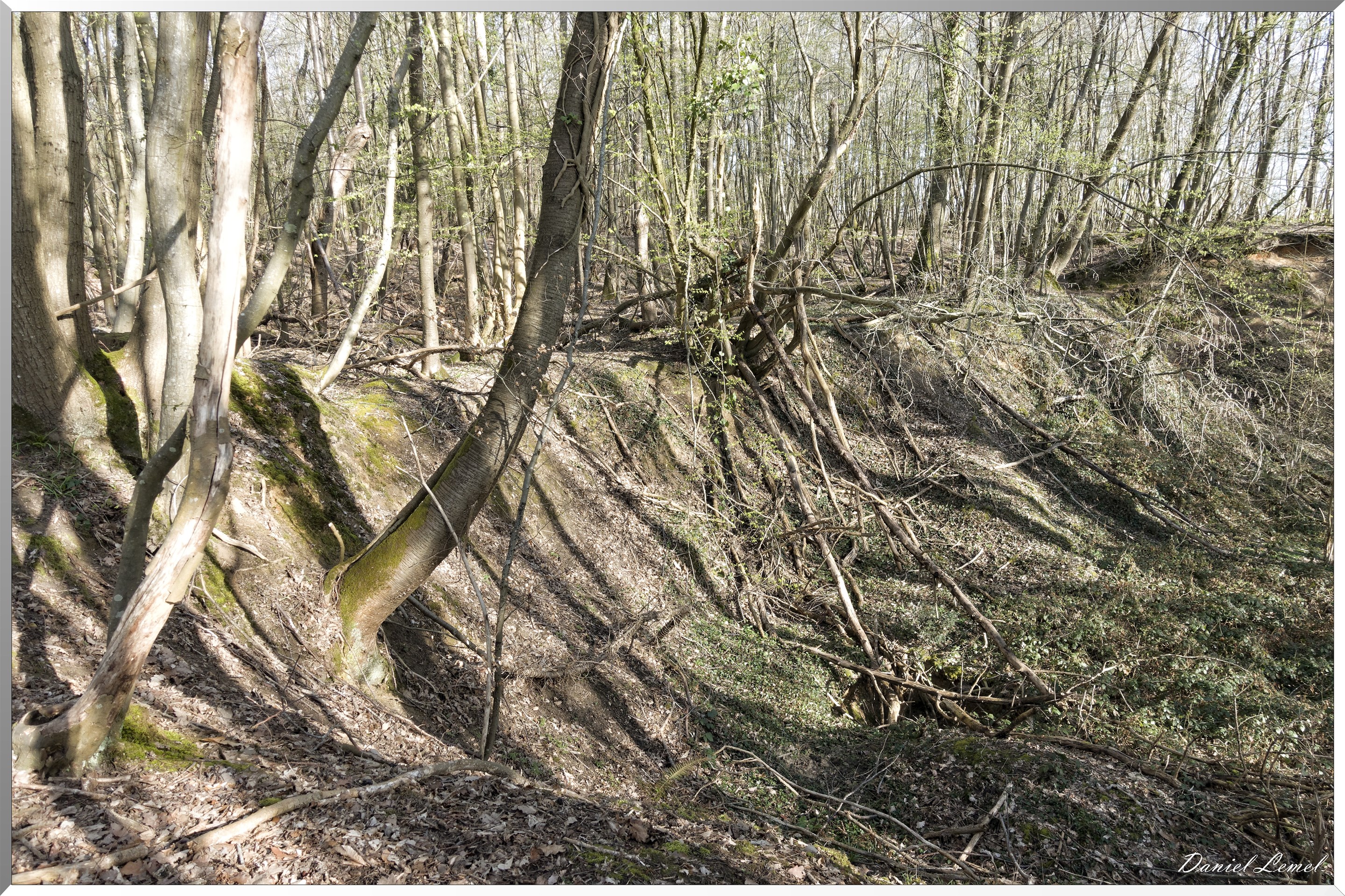 Bois-Jérôme-Saint-Ouen