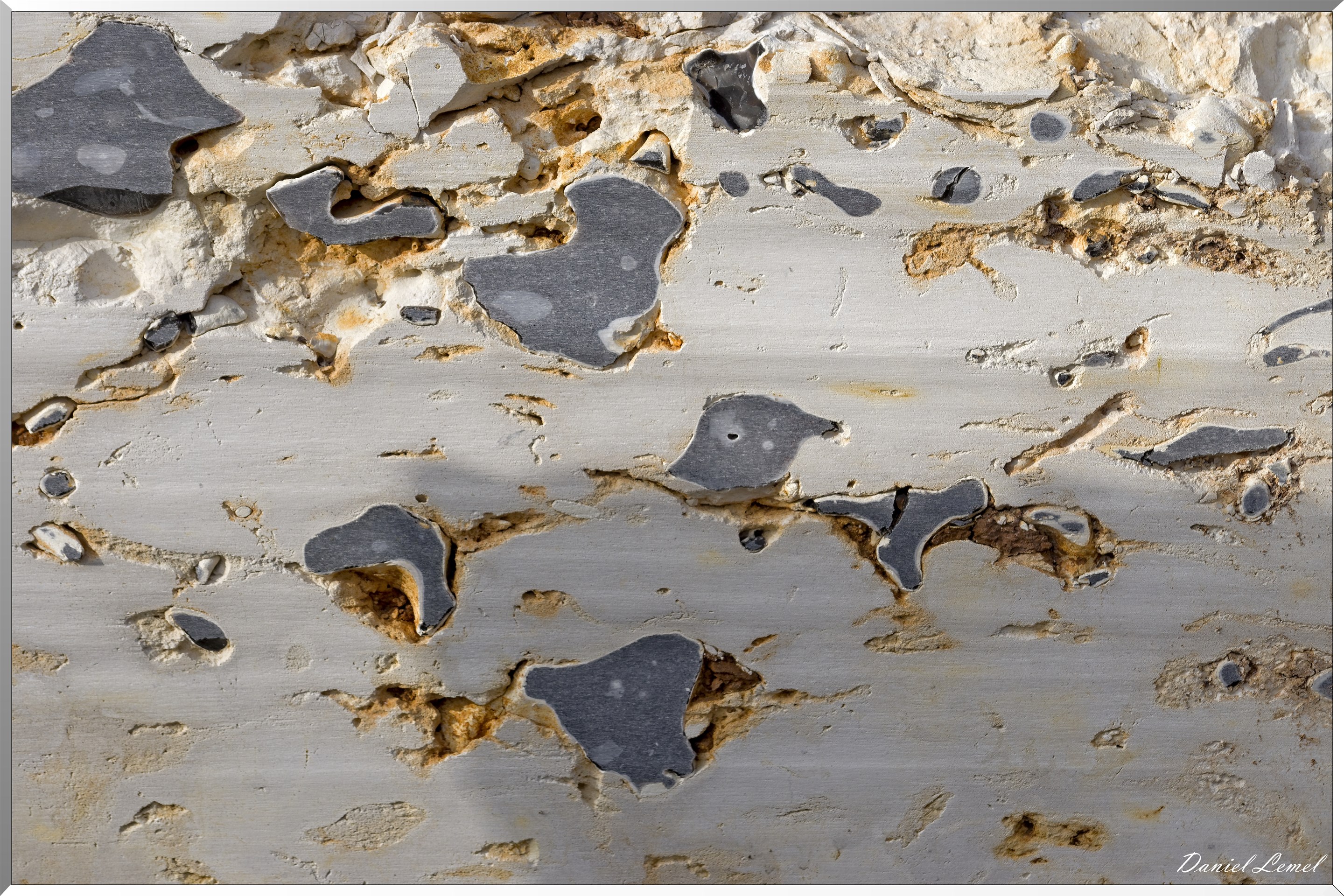 Vernon - Forêt du LRBA