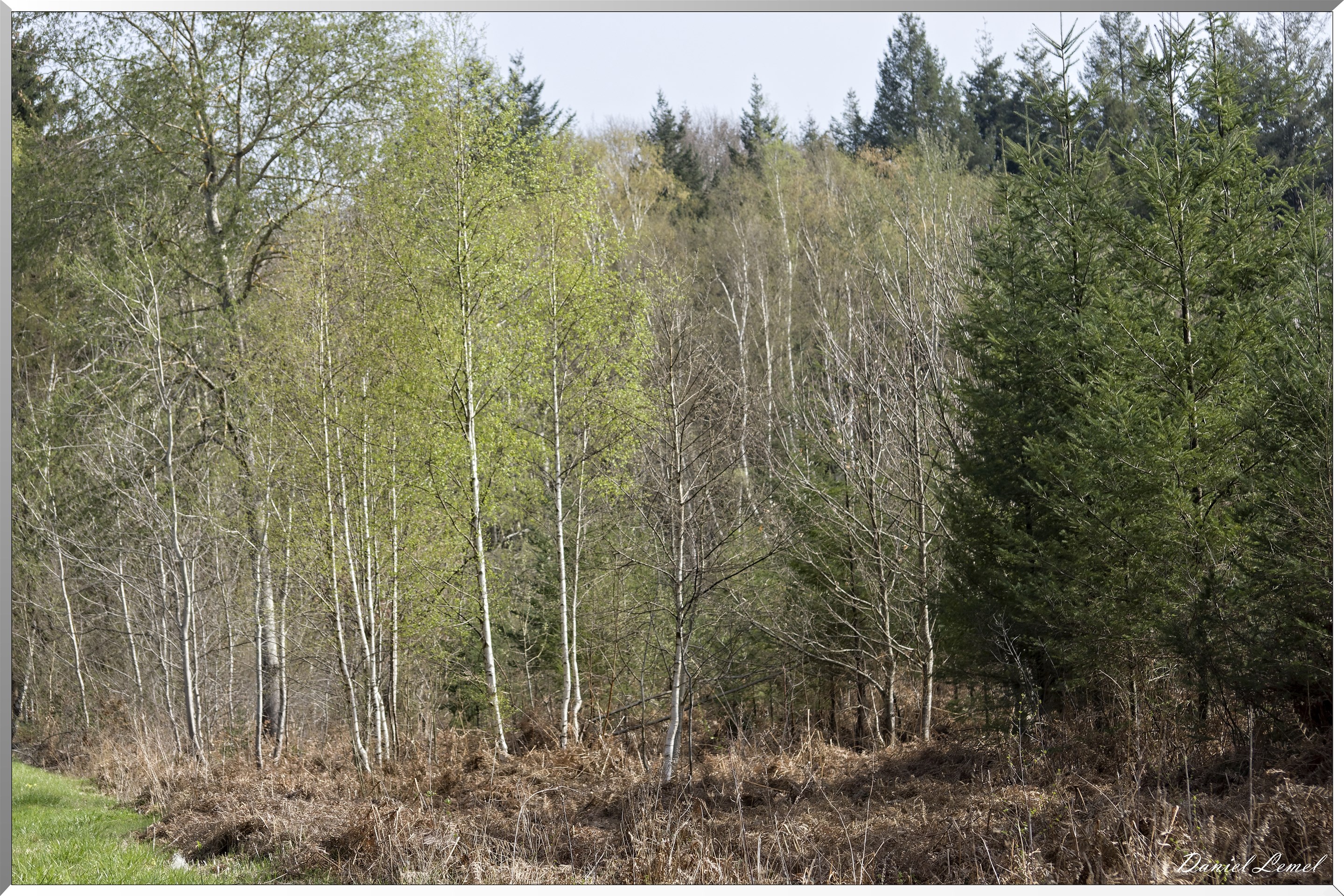 Vernon - Forêt du LRBA