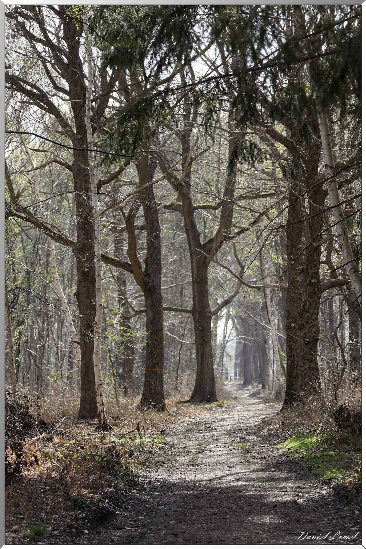 Vernon - Forêt du LRBA