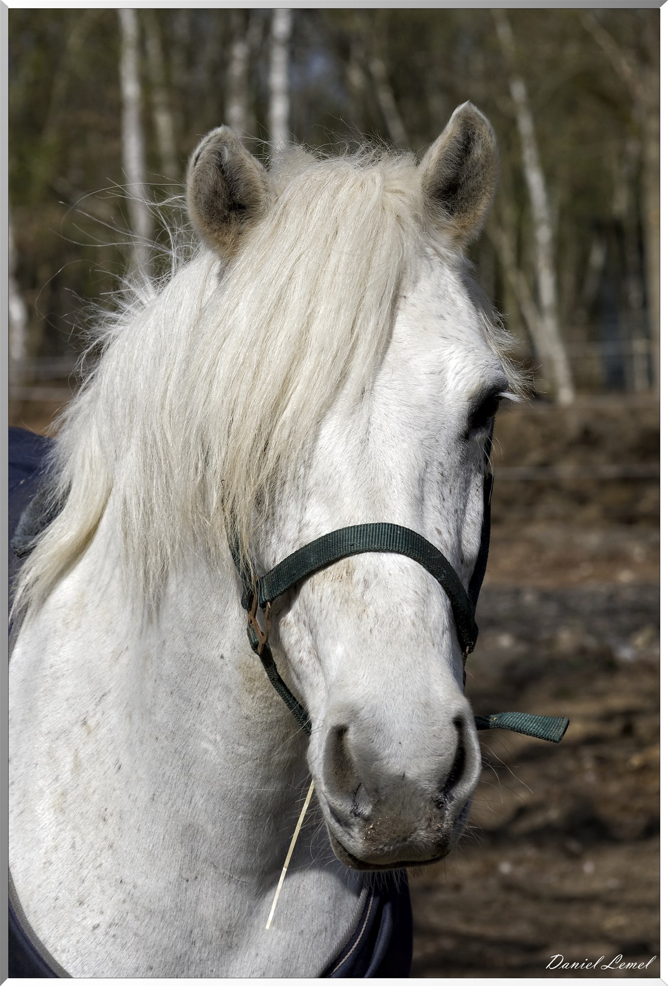 Vernon - Forêt du LRBA